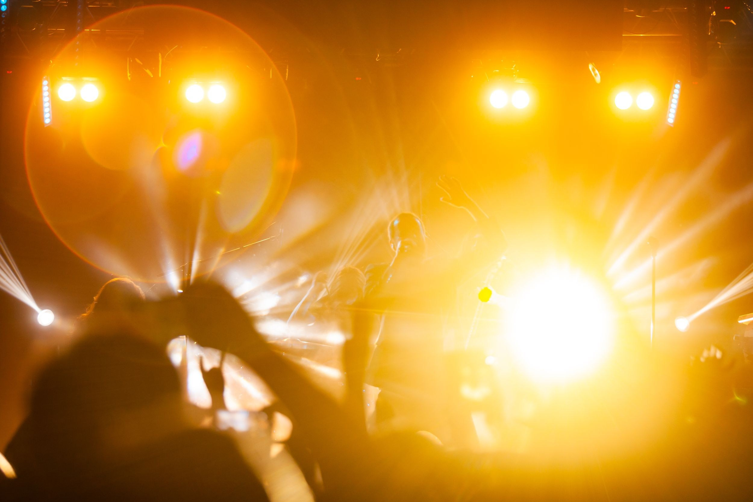 Animal ДжаZ. Репортажный фотограф Алексей Пирязев