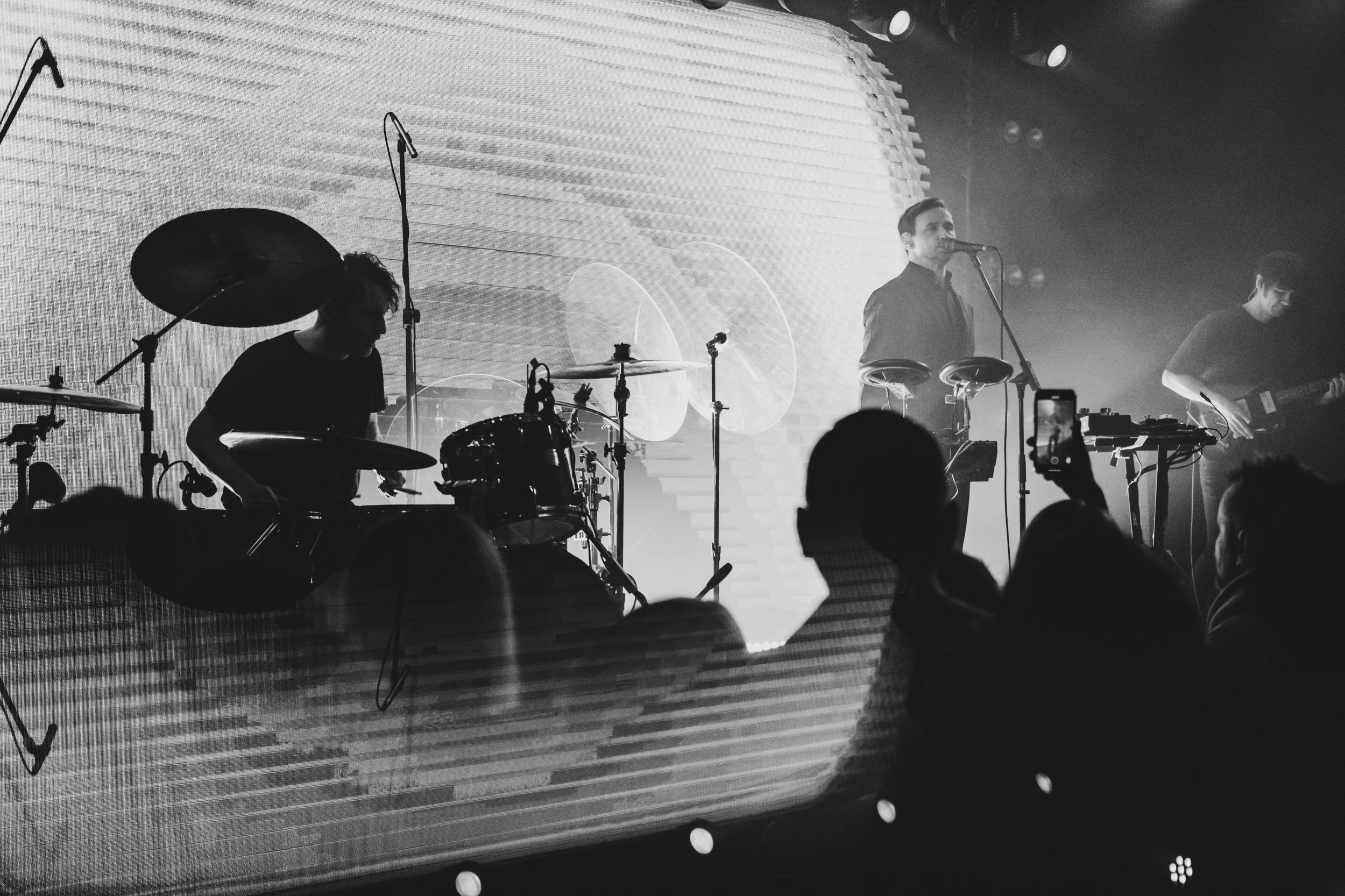 Дельфин. Репортажный фотограф Алексей Пирязев