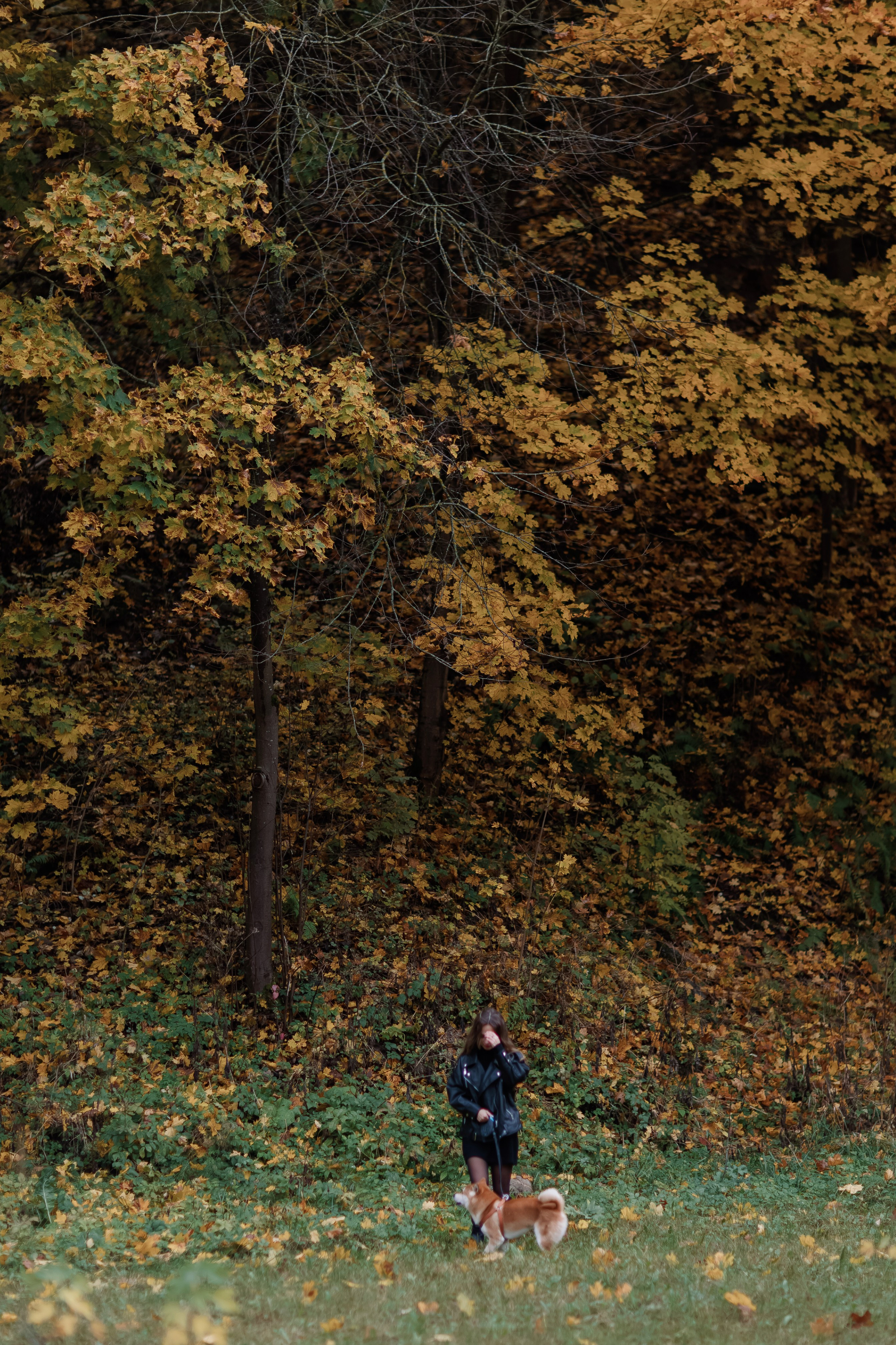 Юлия. Свадебный фотограф