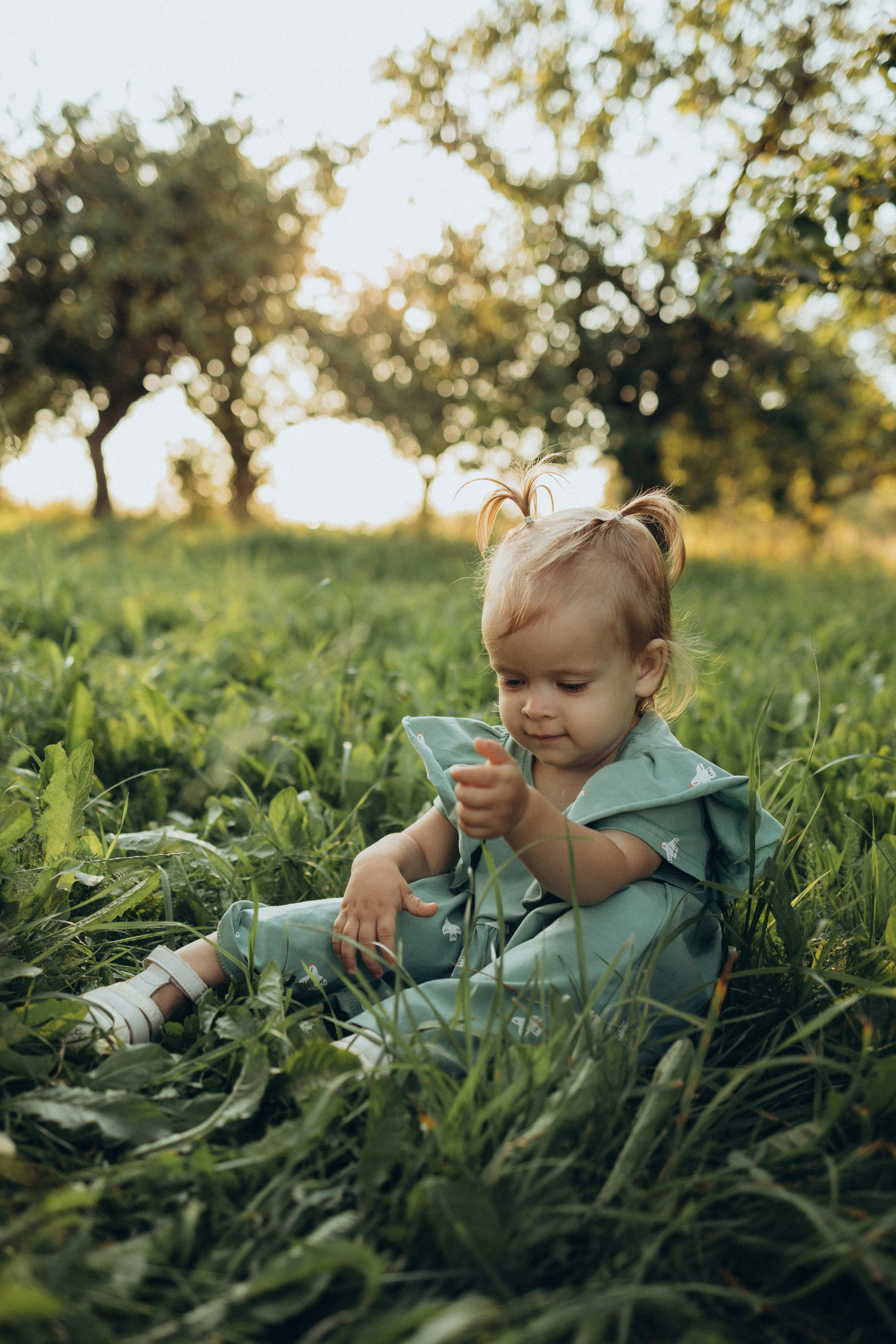 Чаепитие в саду. Фотограф Елена Рябцева