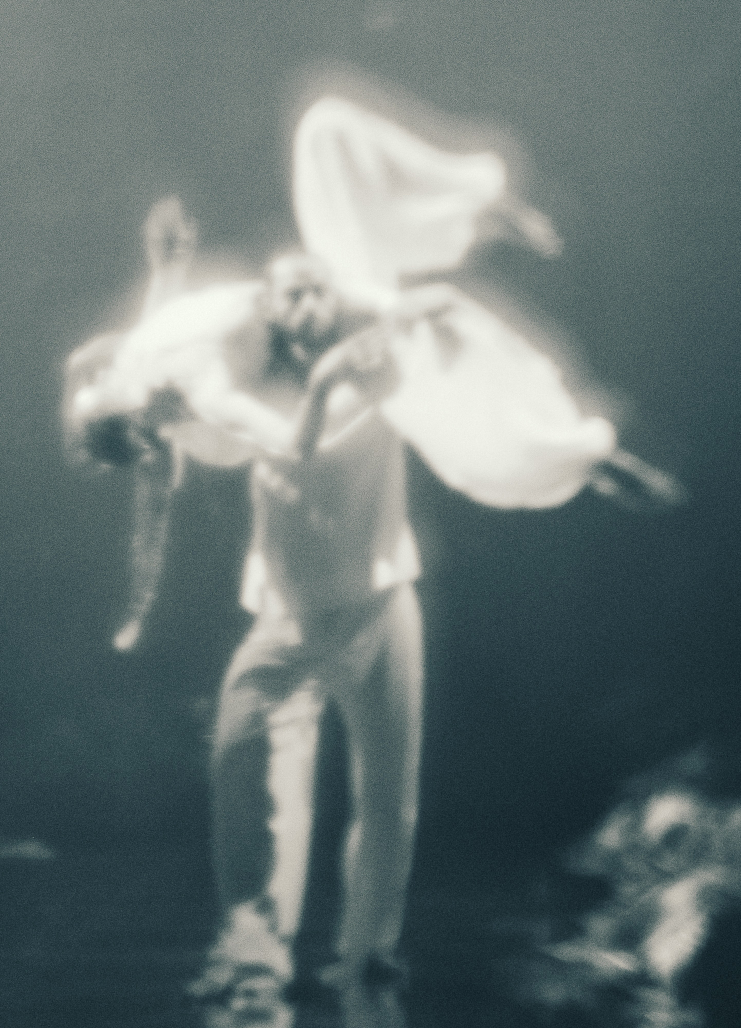 Rara Avis Fashion Show 2026. Fusion Wedding Photographer