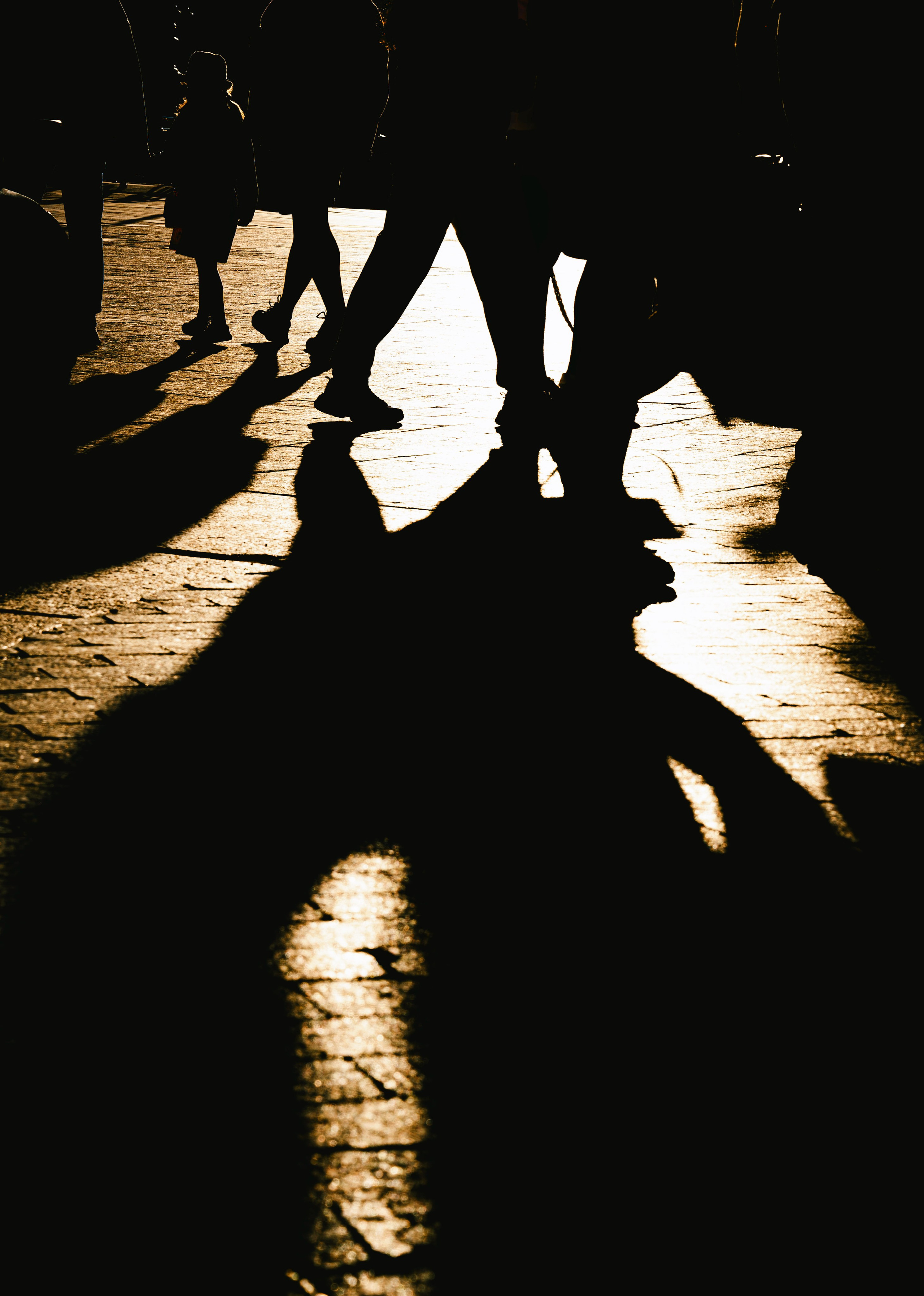 Жизнь в цветах. Алексей Гаас — фотограф