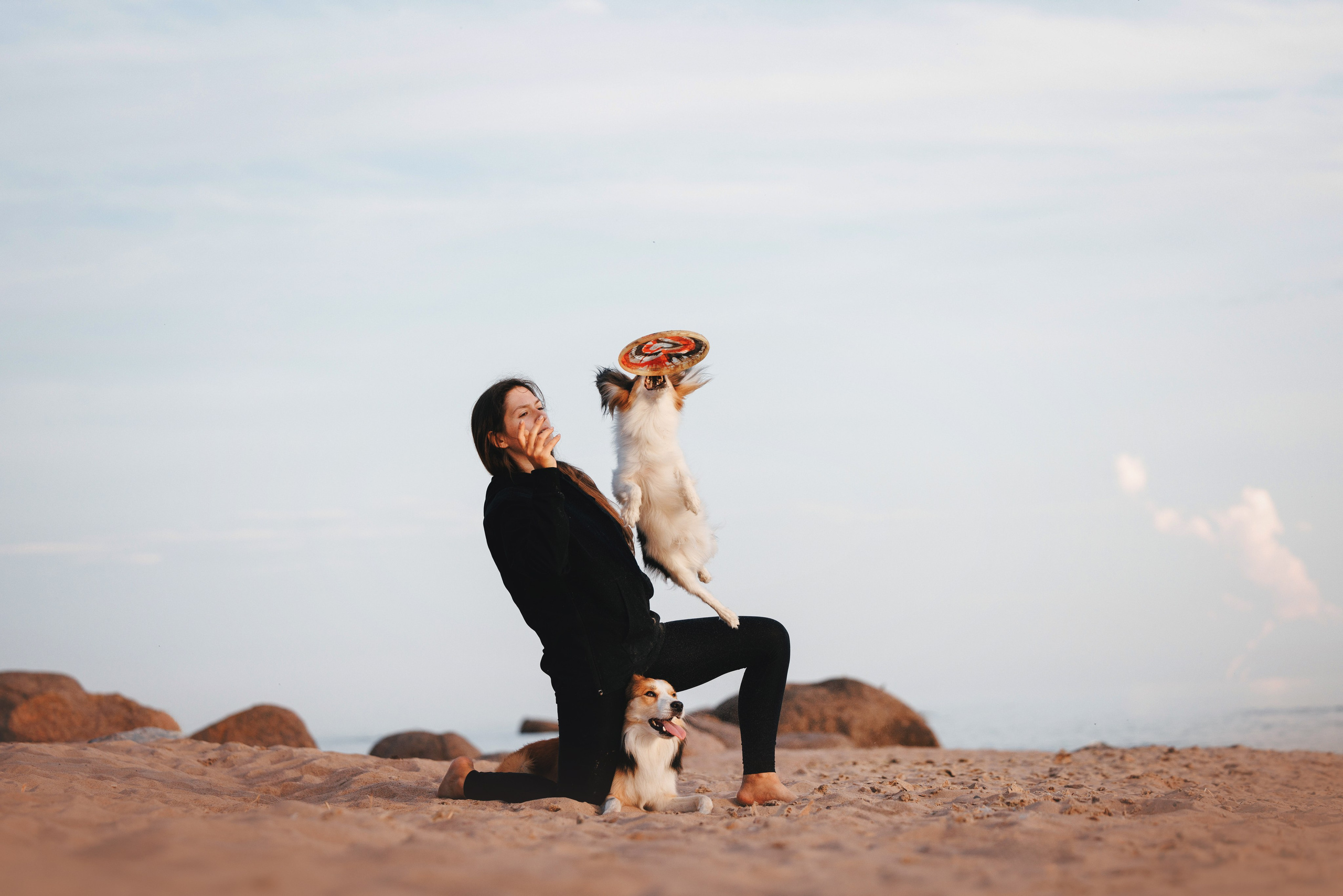 Рита, Маша и много собак. Фотограф анималист Осипчикова Мария