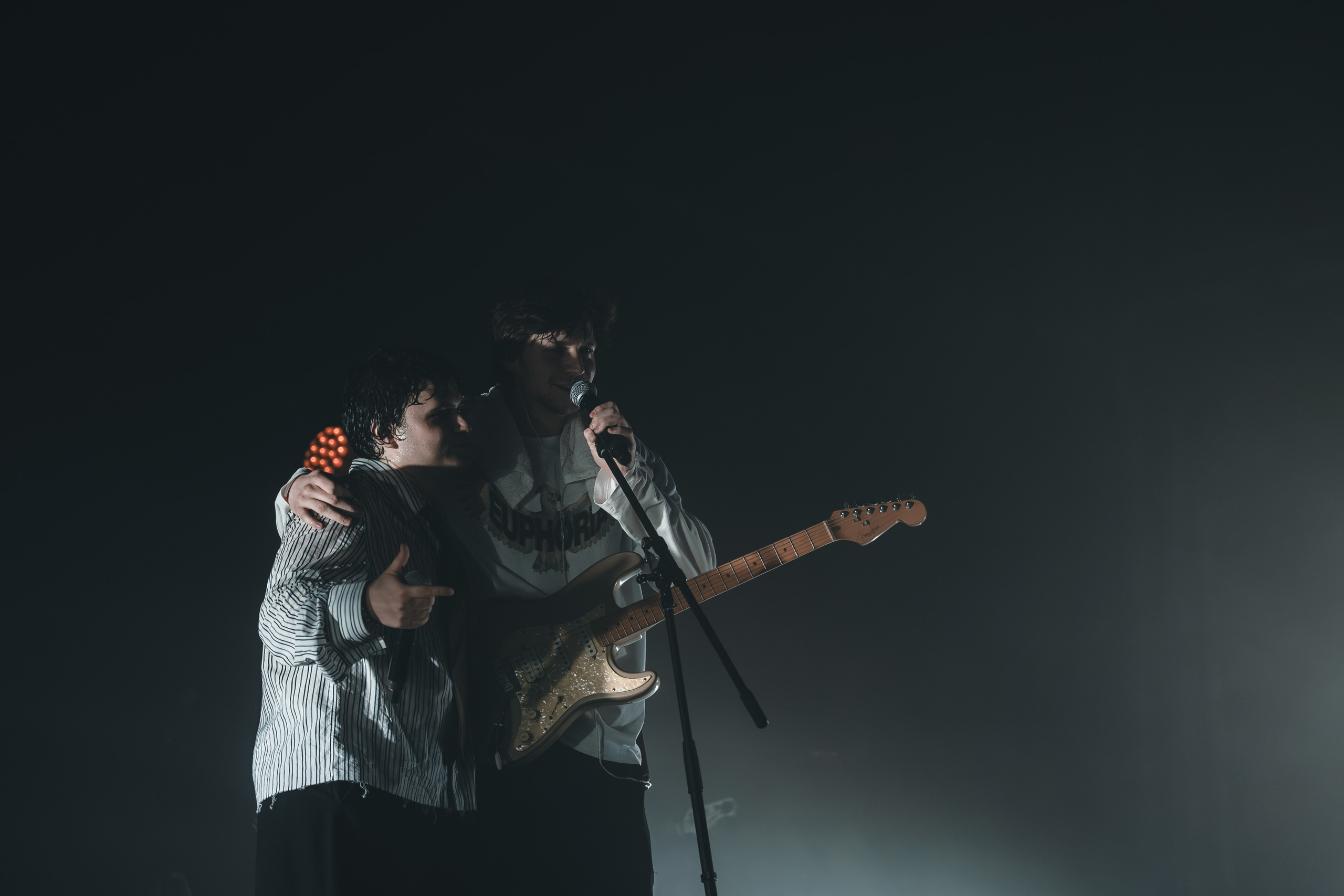 SALUKI. Фотограф Санкт-Петербурга