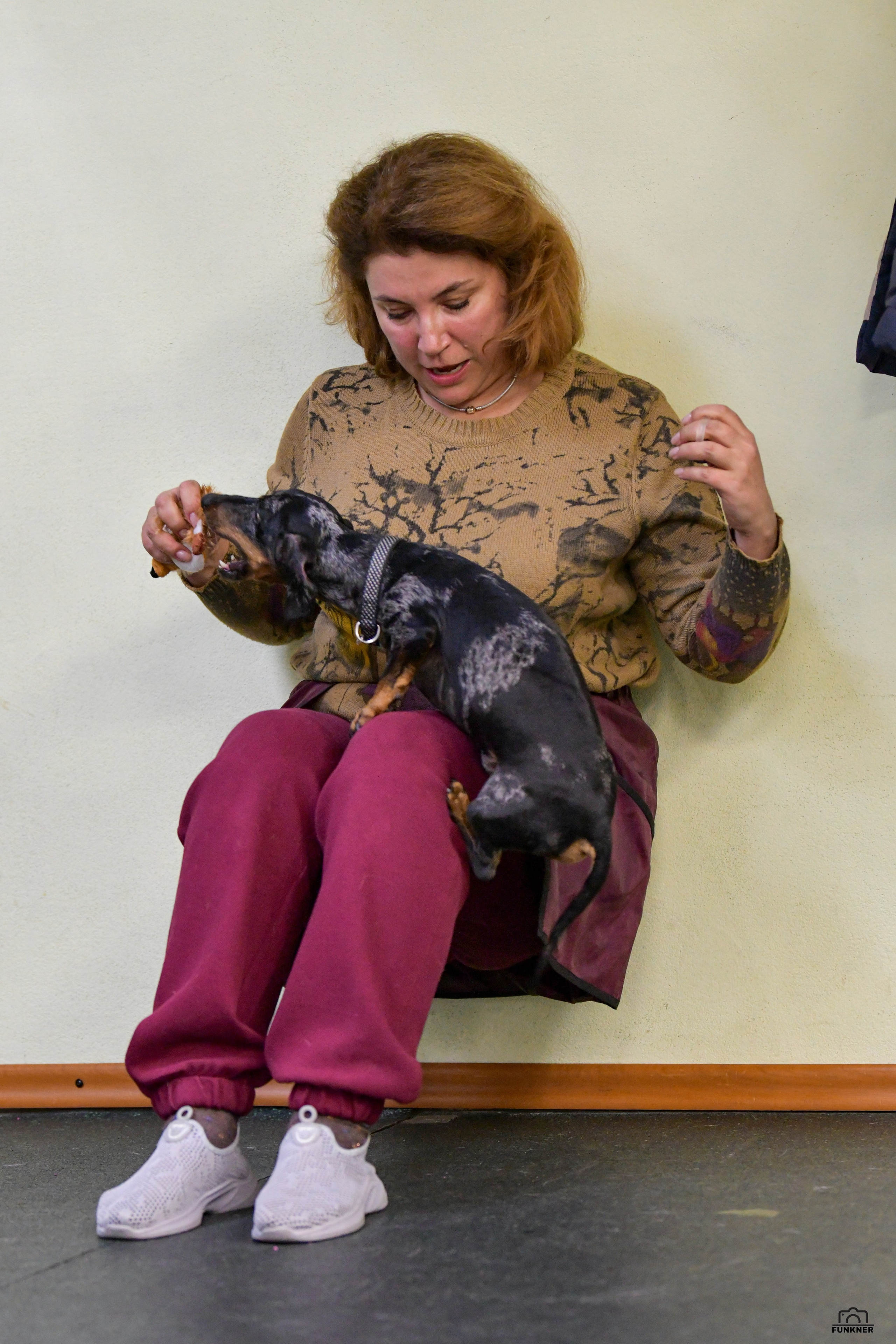 Кинологический клуб «Бодрый хвост». Свой взгляд через объектив