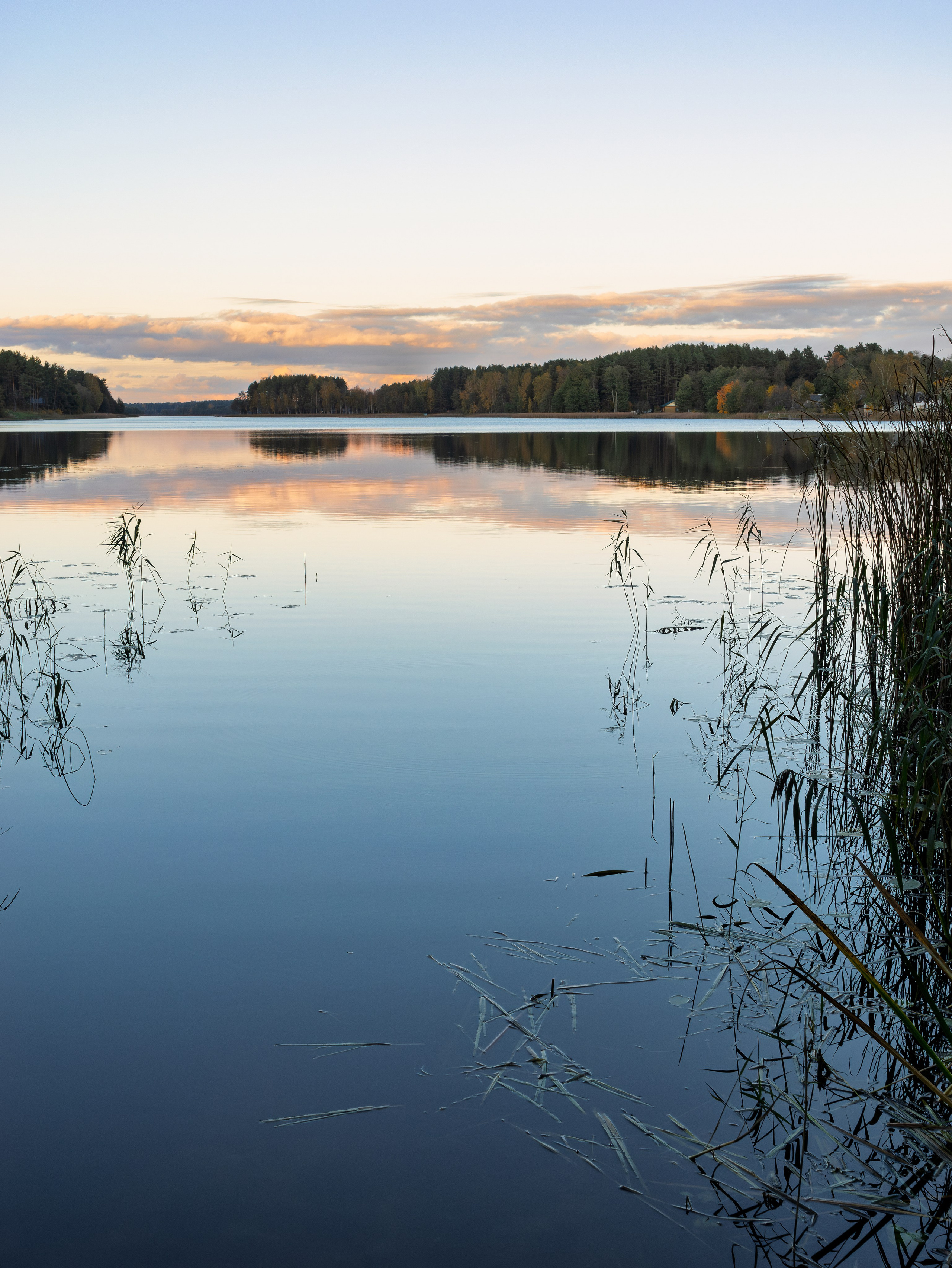 Голубые озера, Псковская область. Октябрь 2024. Фотограф Никифоров-Гордеев Сергей. Москва и МО