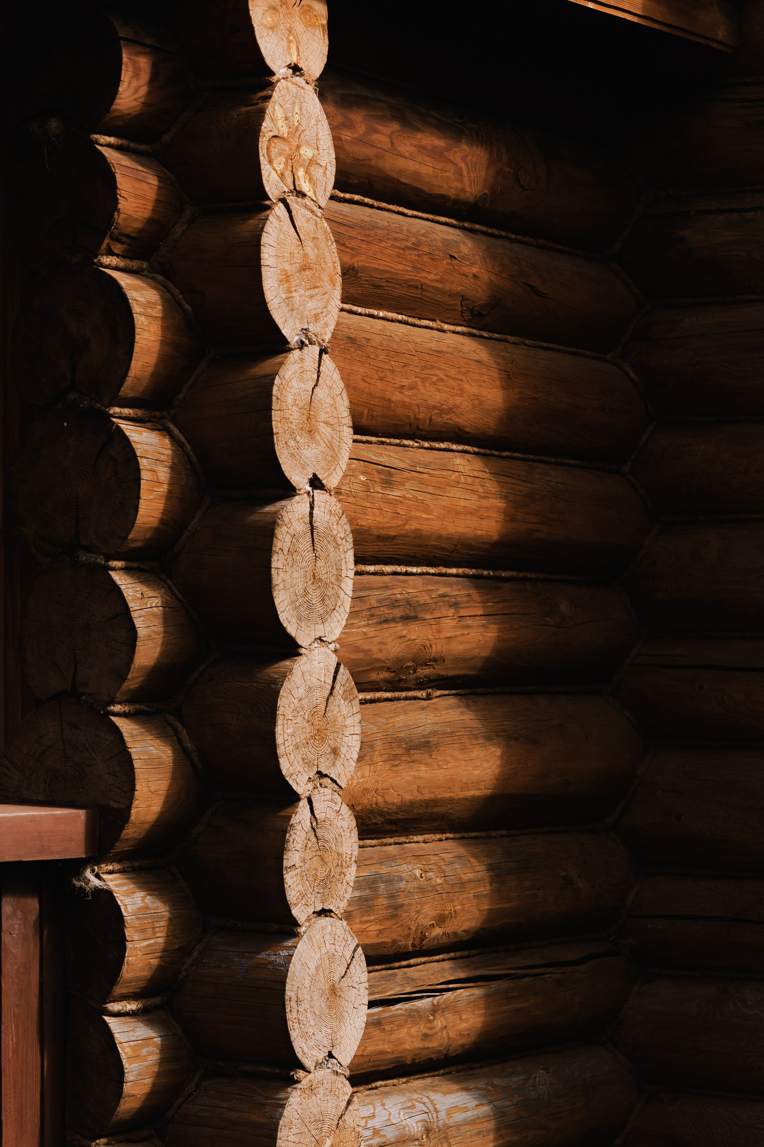 Artem & Viktoria. Wedding and family photographer in Moscow