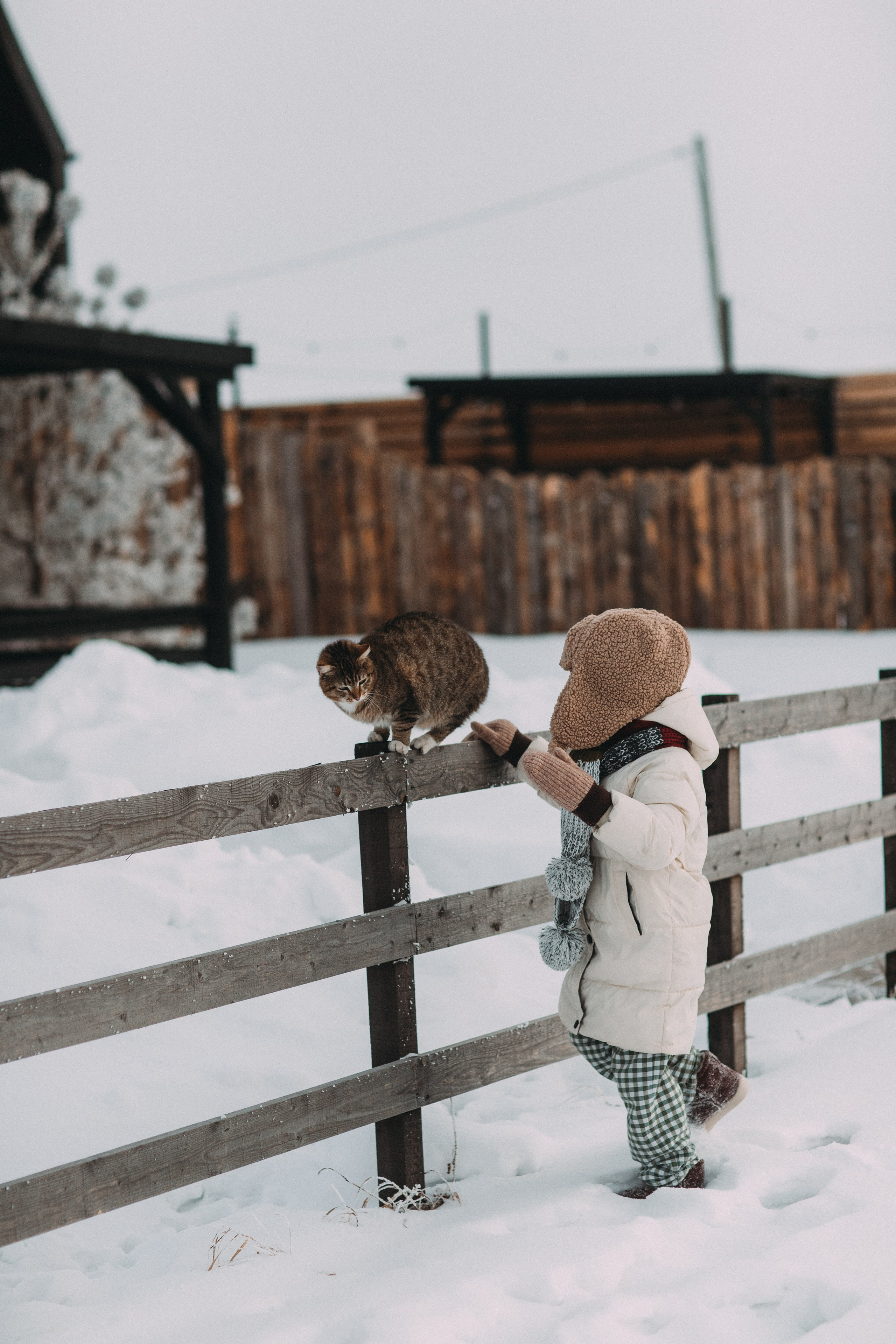 Треугольный домик. Главная
