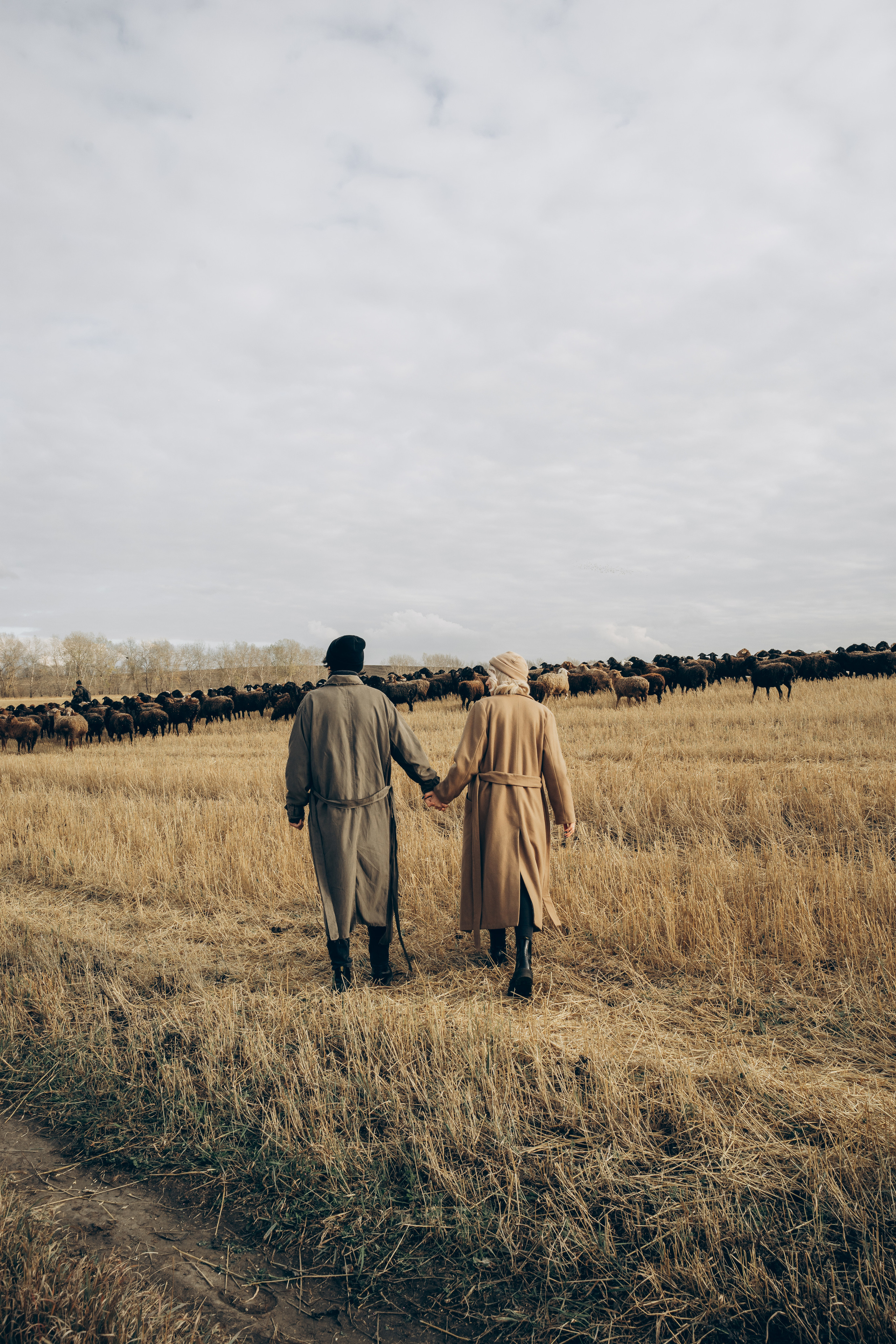 Мы нашли любовь. Моменты и истории о вас настоящих