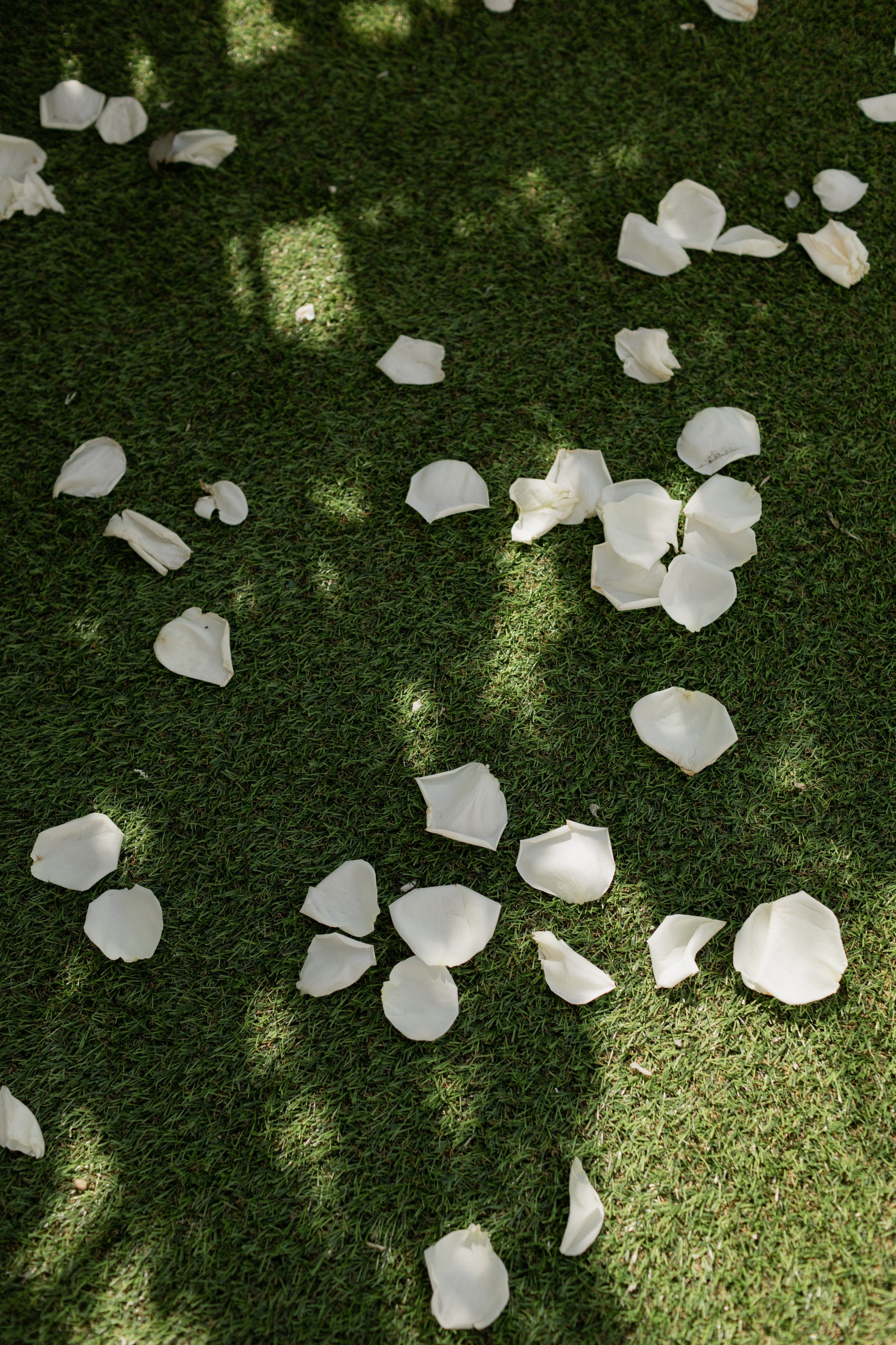 Полина & Евгений. Свадебный и семейный фотограф в Красноярске