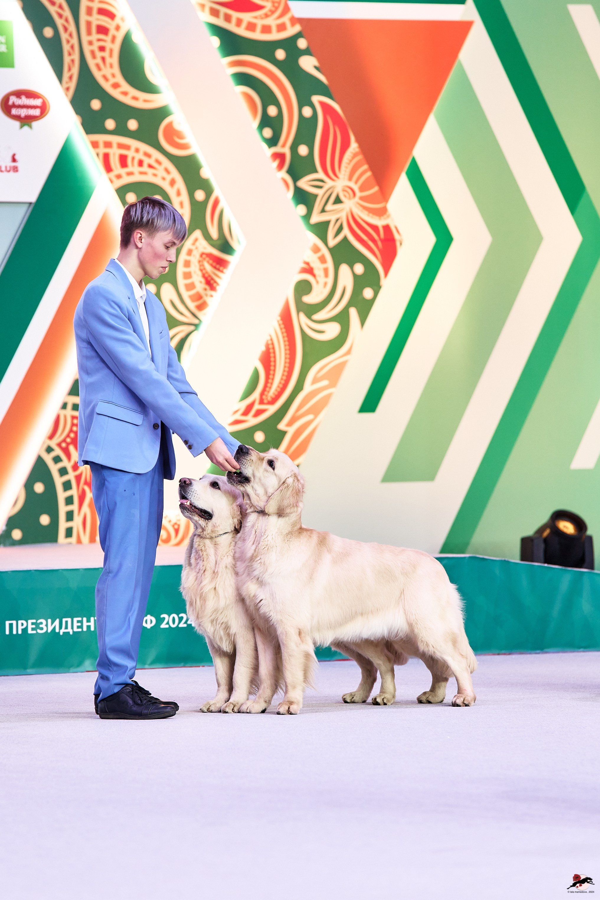 16.11.2024 «ЕВРАЗИЯ. КУБОК ПРЕЗИДЕНТА РКФ 2024»