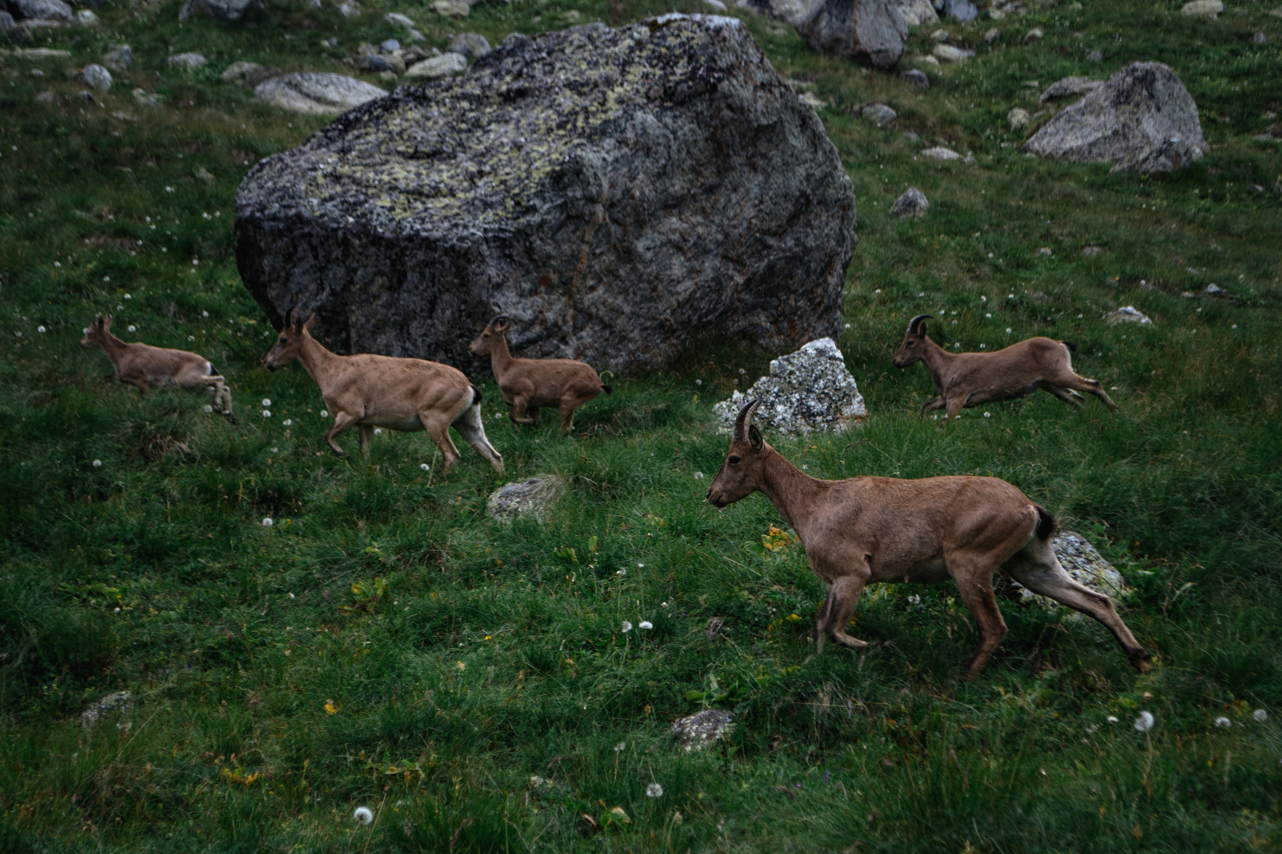 Безенги. Туры, путешествия, восхождения