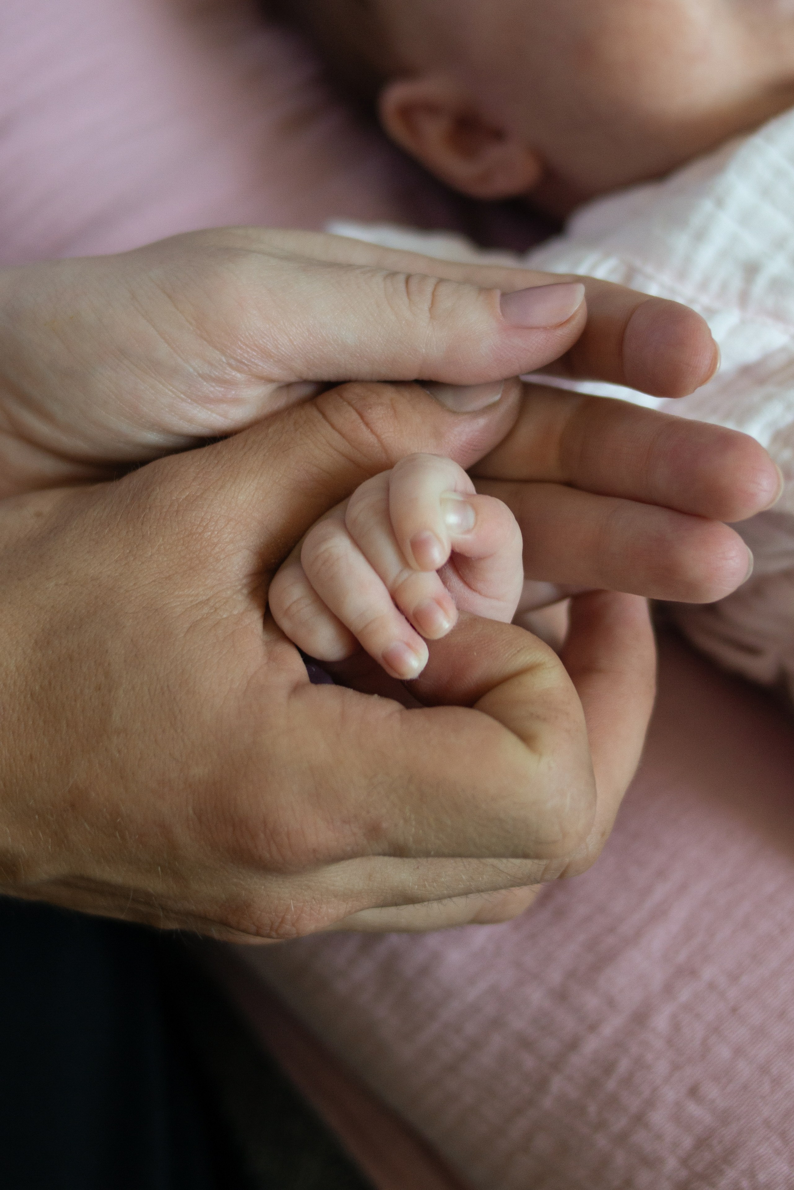 Домашняя. Фотограф Софья Власенко | Вологда