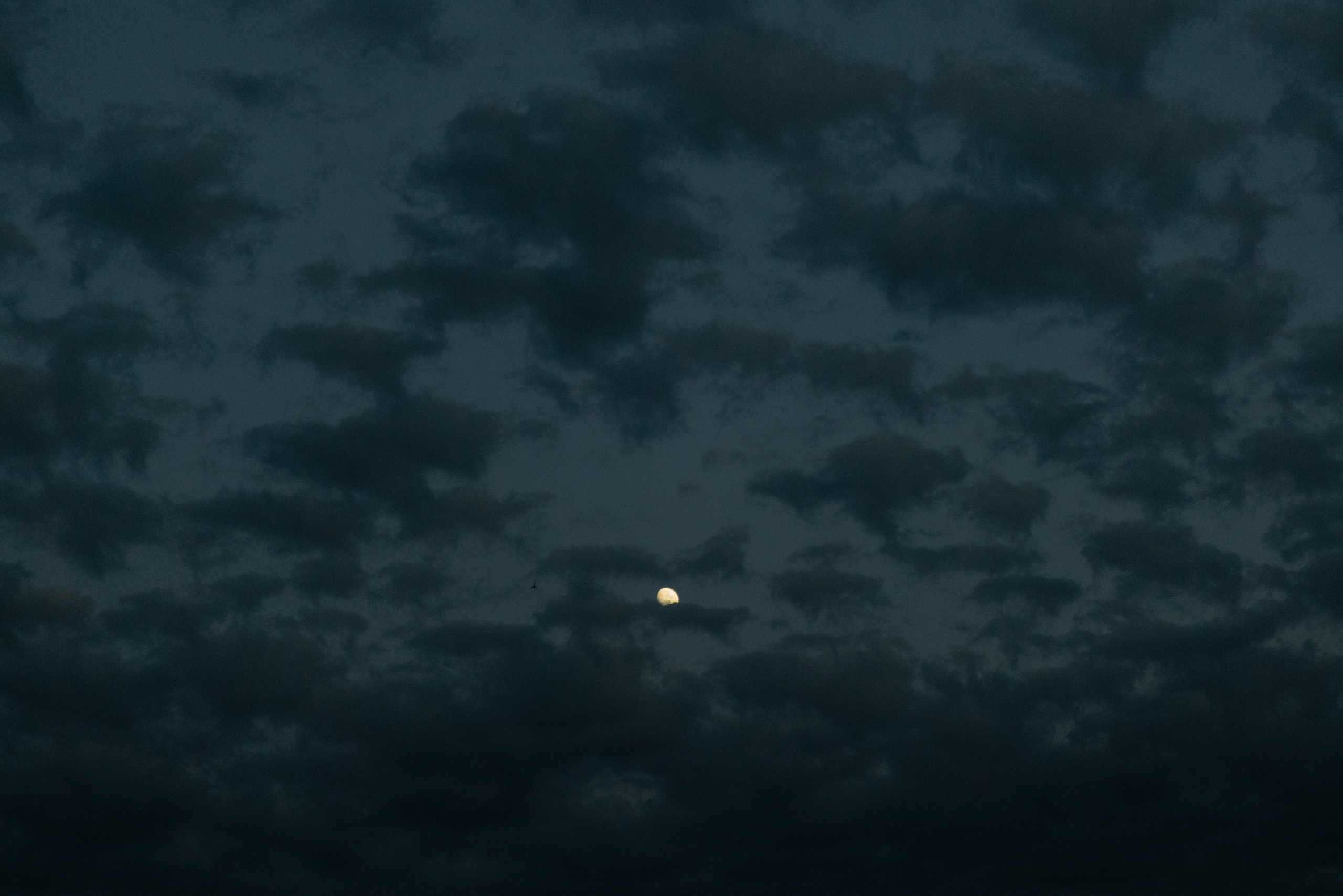 Никита и Анастасия (В данной серии сокращенный, полый день). Фотограф в Саратове Сабина Иманова