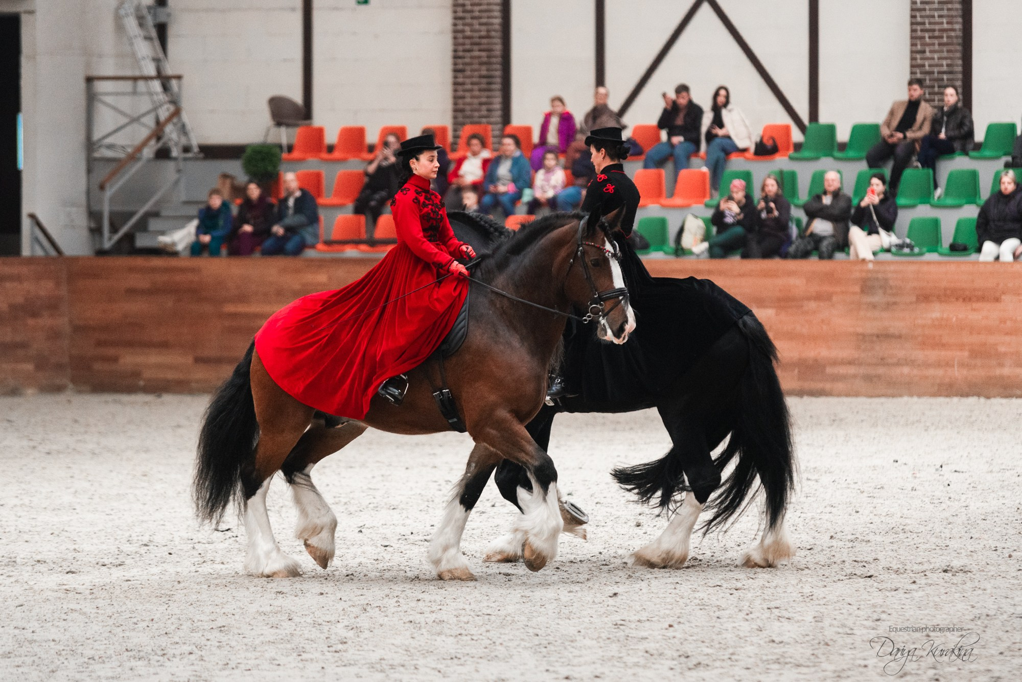 8-я международная выставка Конная Россия. Конный фотограф Куракина Дарья • Фотосессии с лошадьми