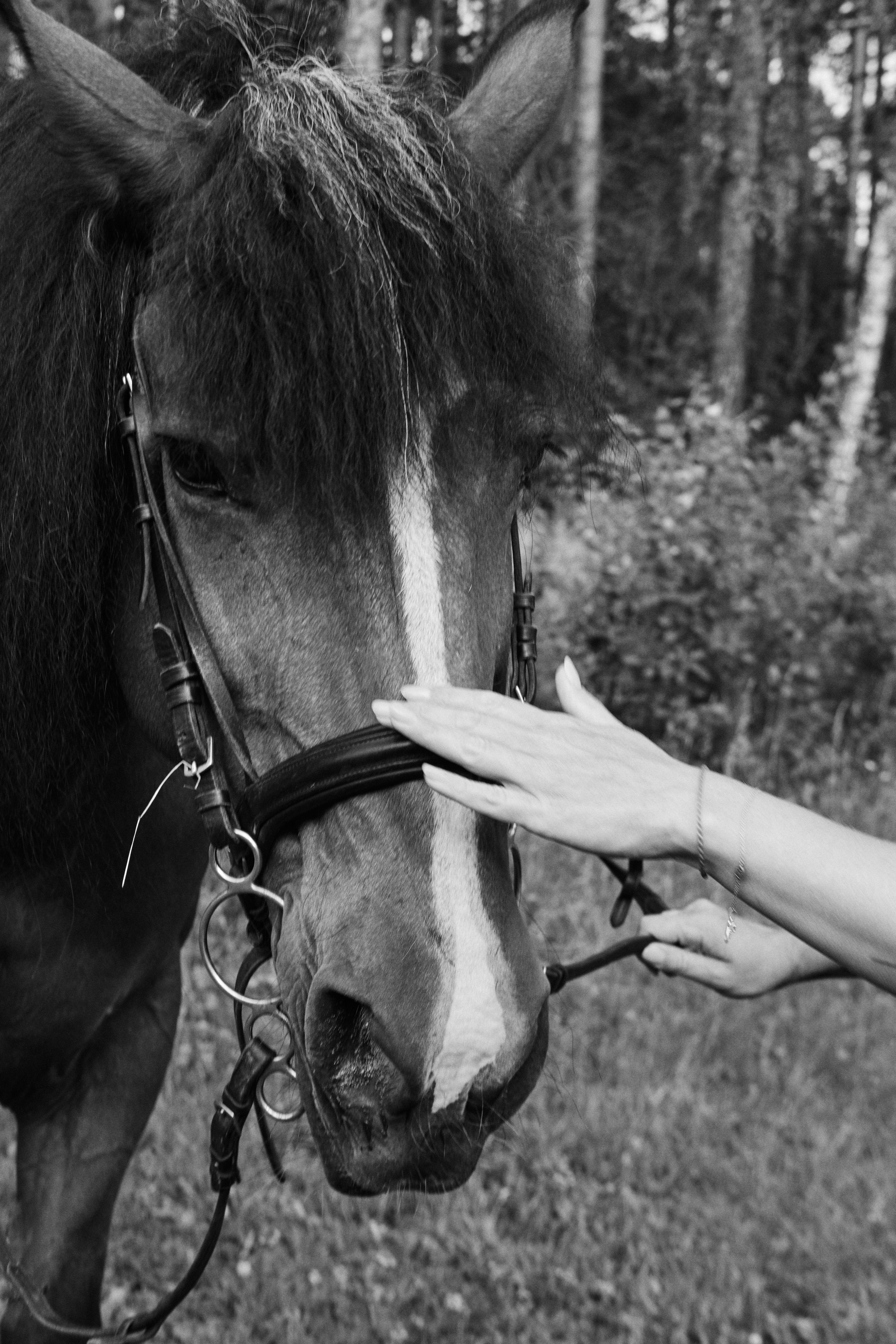 Портреты. Фотограф в Екатеринбурге Татьяна Соколовская