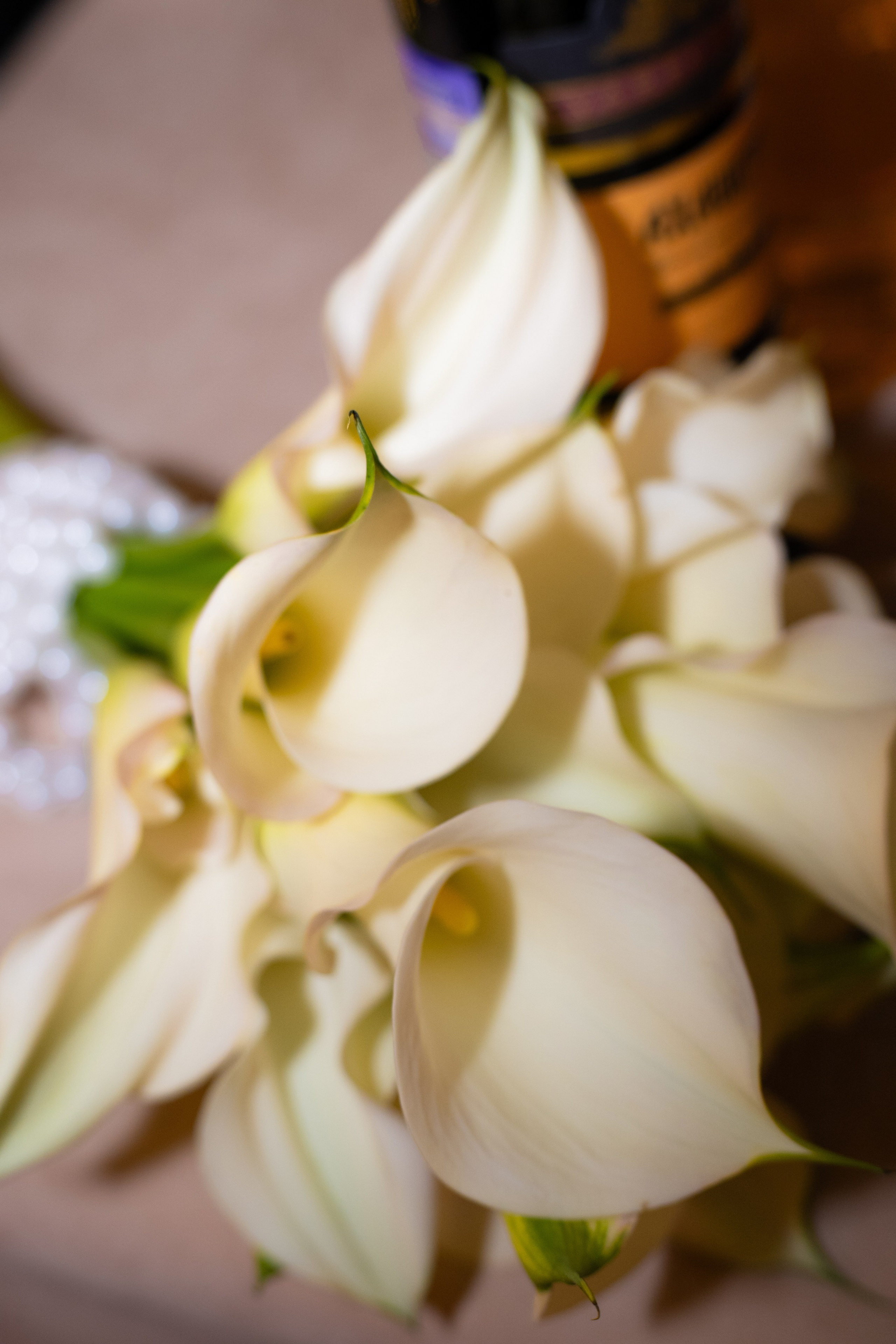 Y&V. Vladislav Blinov photographer