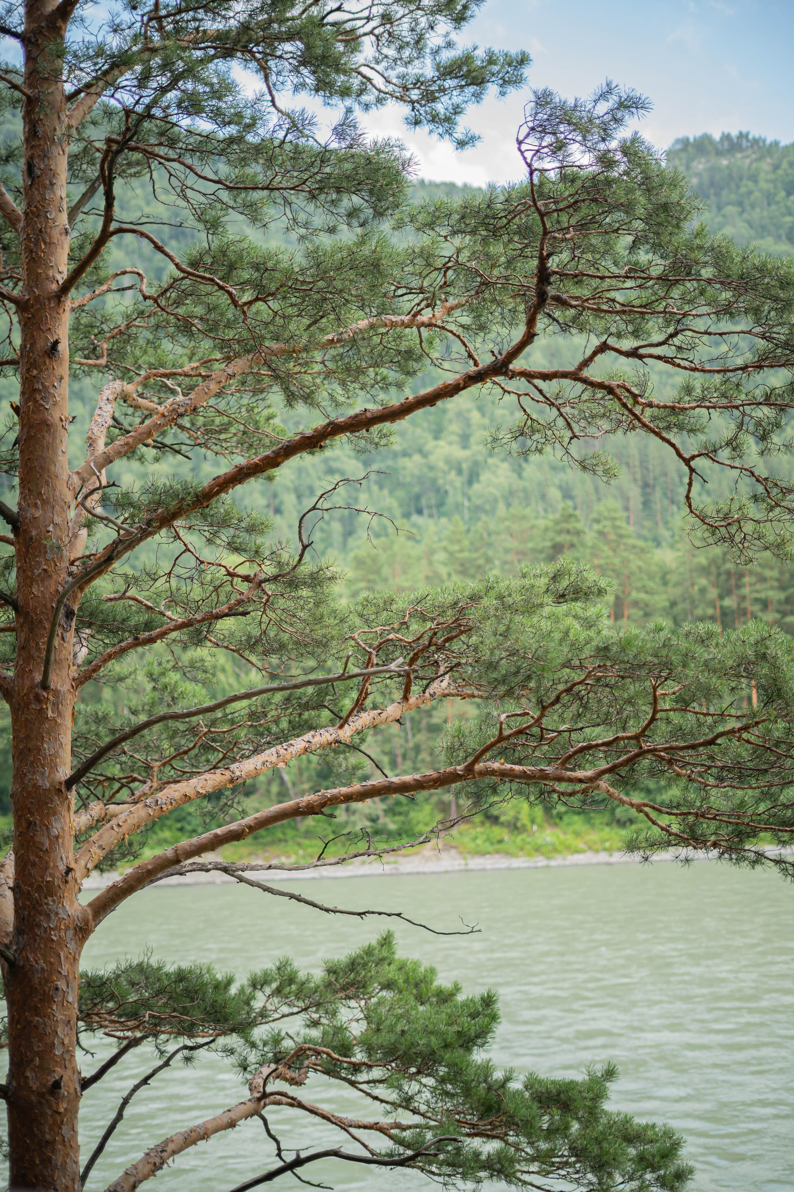 Фотосессия на природе Новосибирск Краснообск