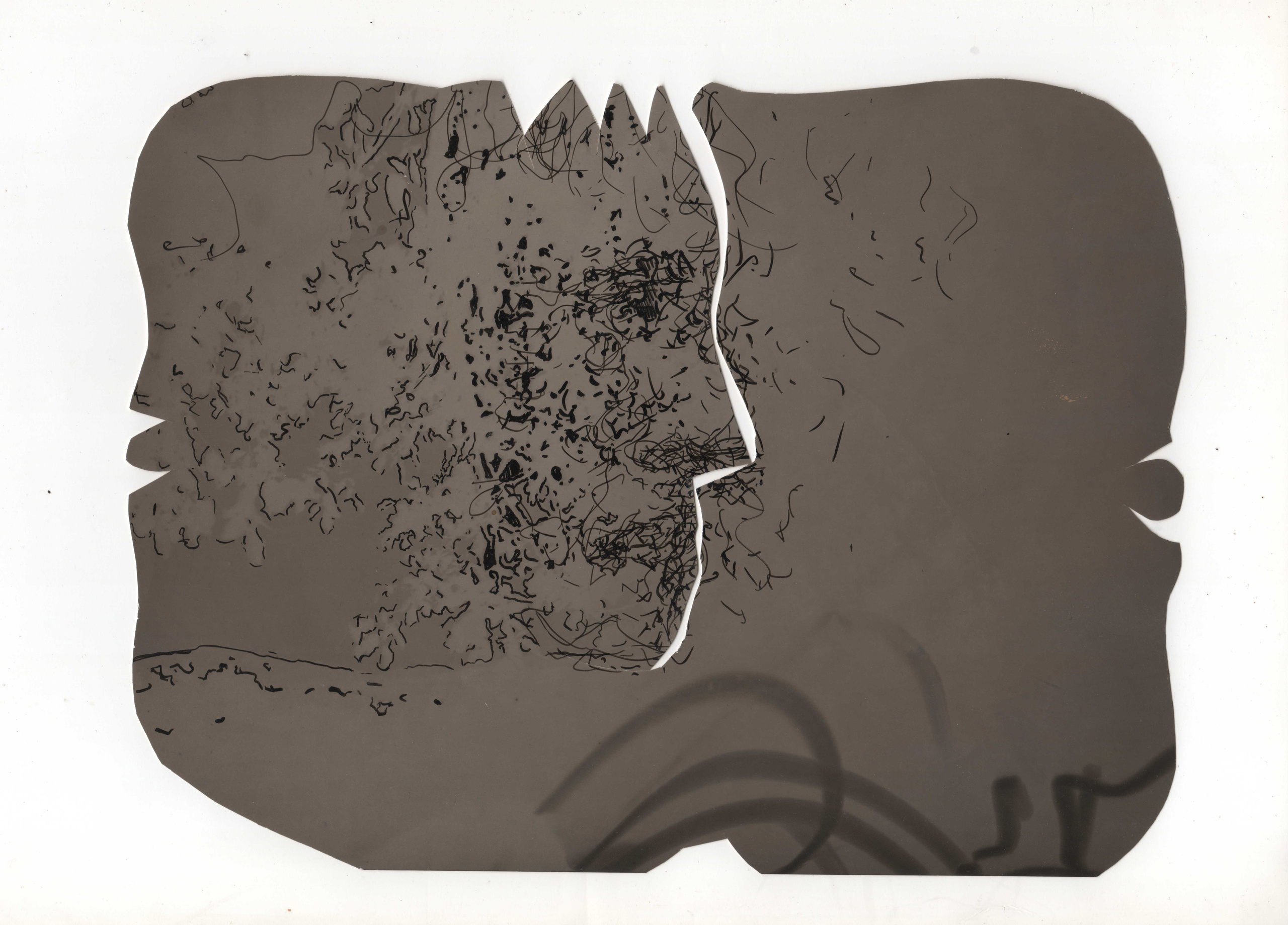 Фото-альтернатива. Данил Андреев, мультидисциплинарный художник, Санкт-Петербург