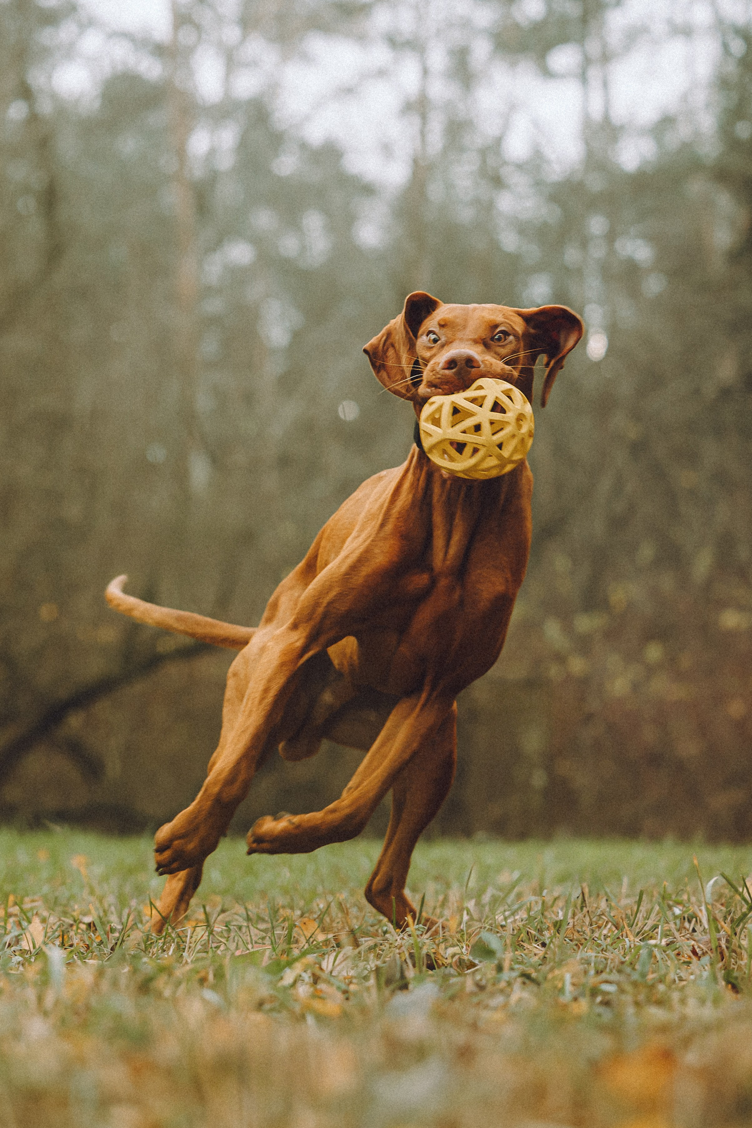 Дориан и его семья