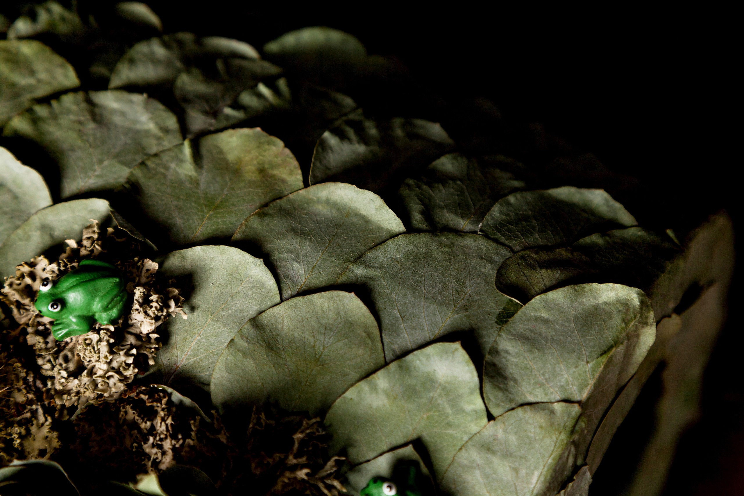 Букет-муфта, флорист Маргарита Гладкова. Флорист Маргарита Гладкова