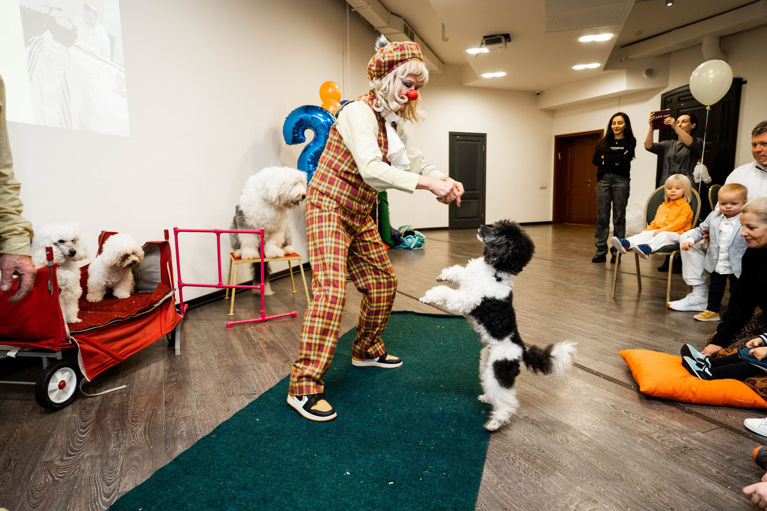 Даниэль h-day. Фотограф Абакумова Анастасия