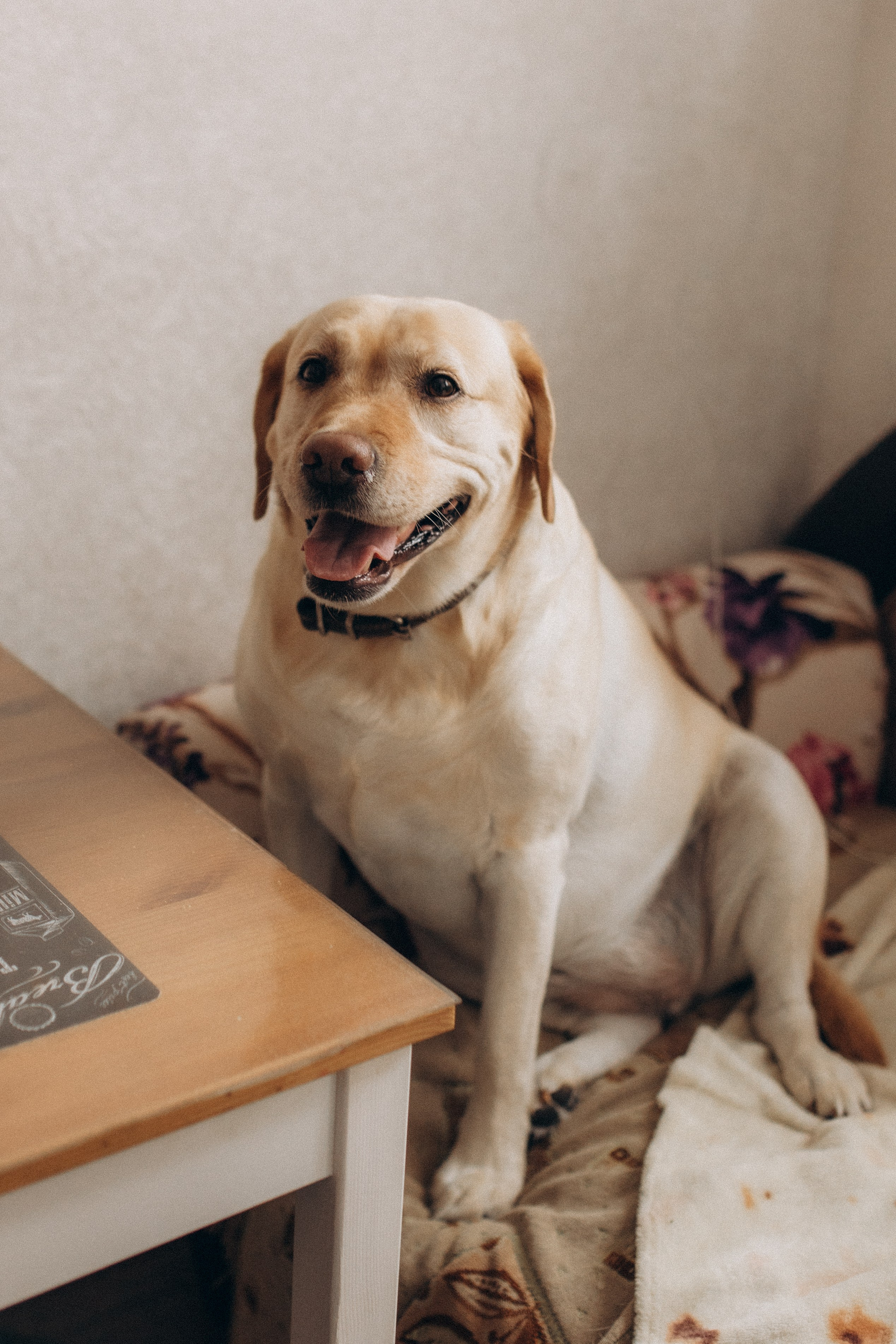 День рождения только раз в году. Семейный фотограф lifestyle в Новосибирске Елена Шпилевая