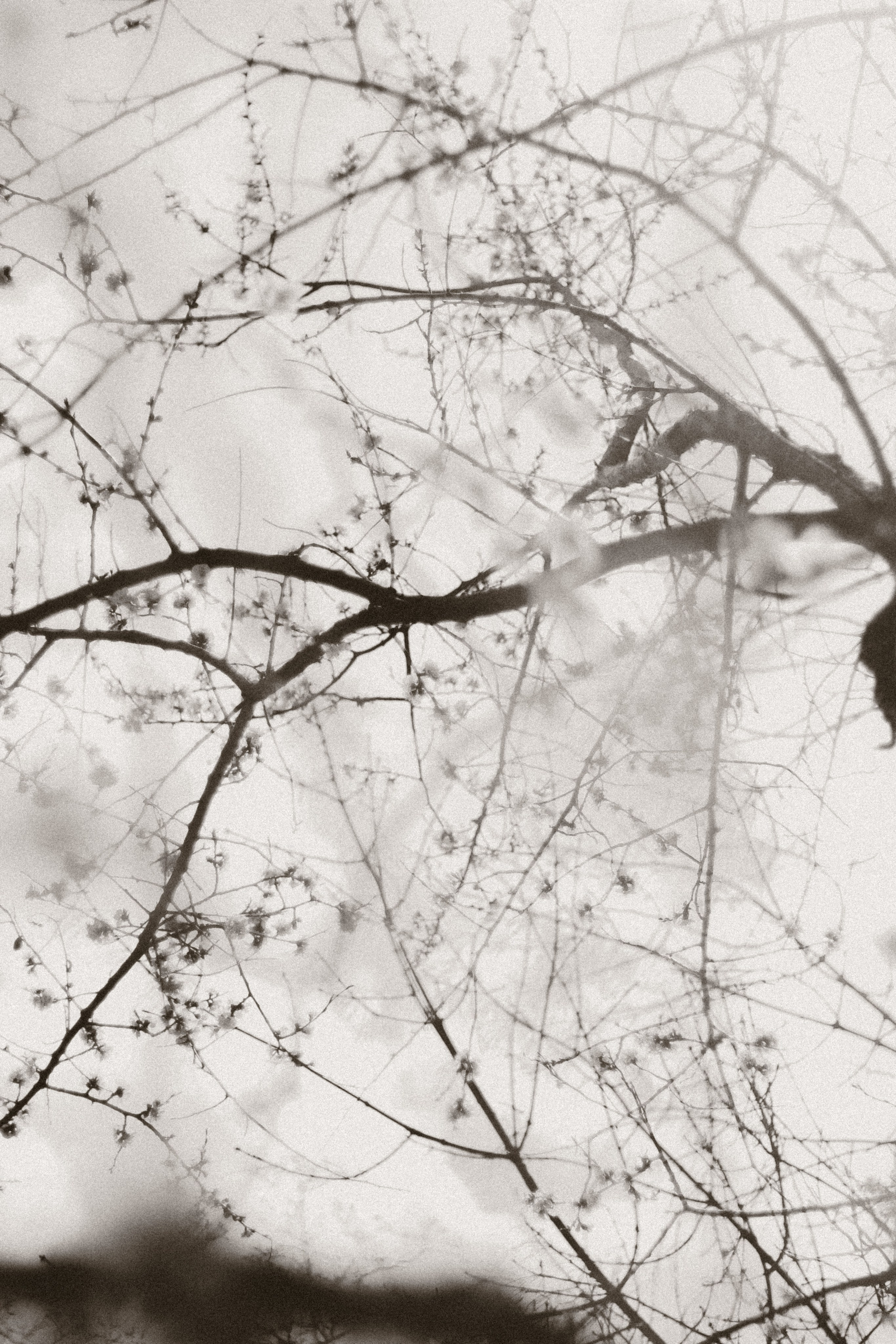 ПОРТРЕТ. Портретный и семейный фотограф в Мариуполе, РФ. Даша Жогло