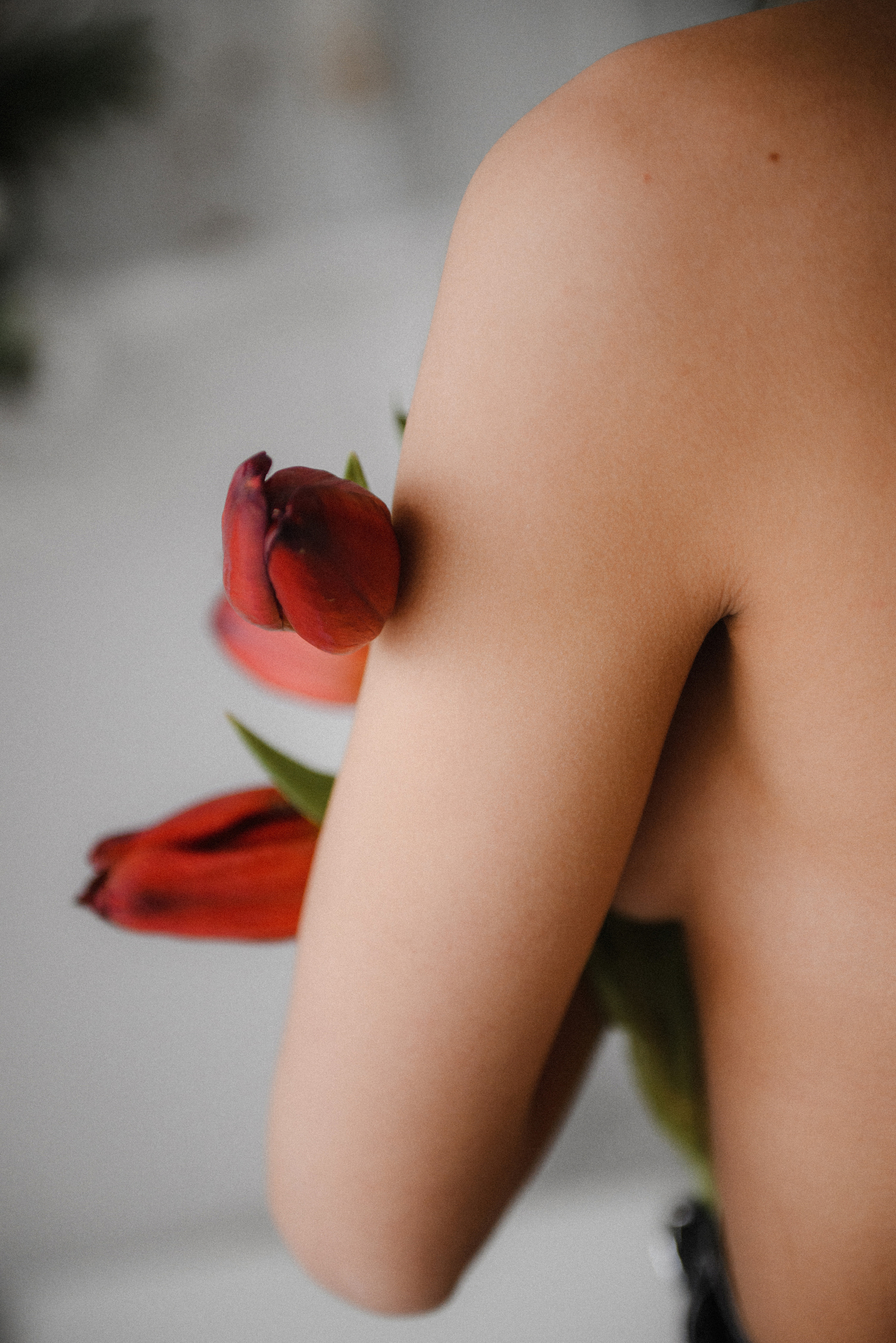 Тюльпаны 18+. Свадебный и семейный фотограф в Краснодаре