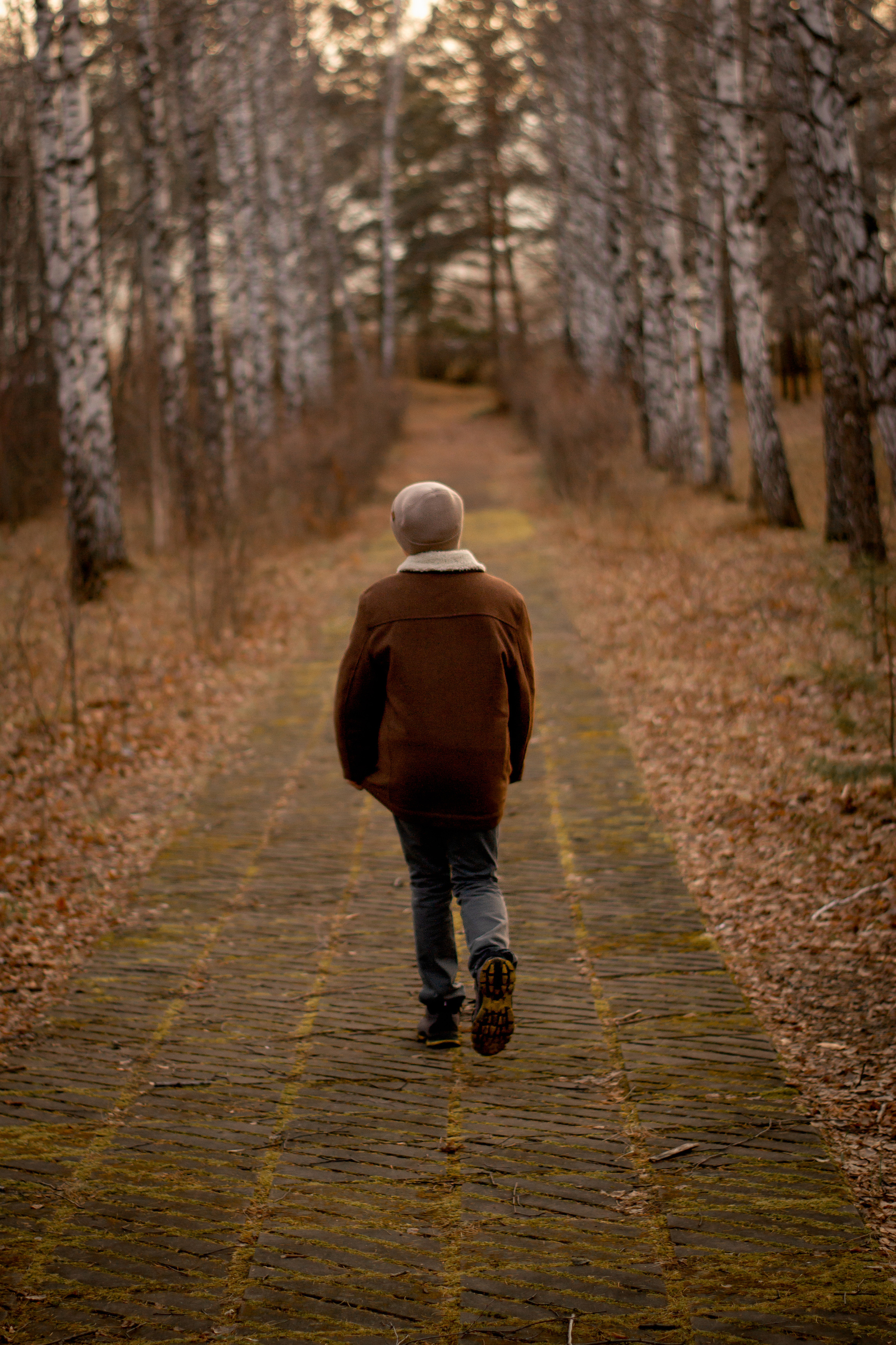 Шоколадная осень. Приподаева Алёна семейный и детский фотограф в Красноярске