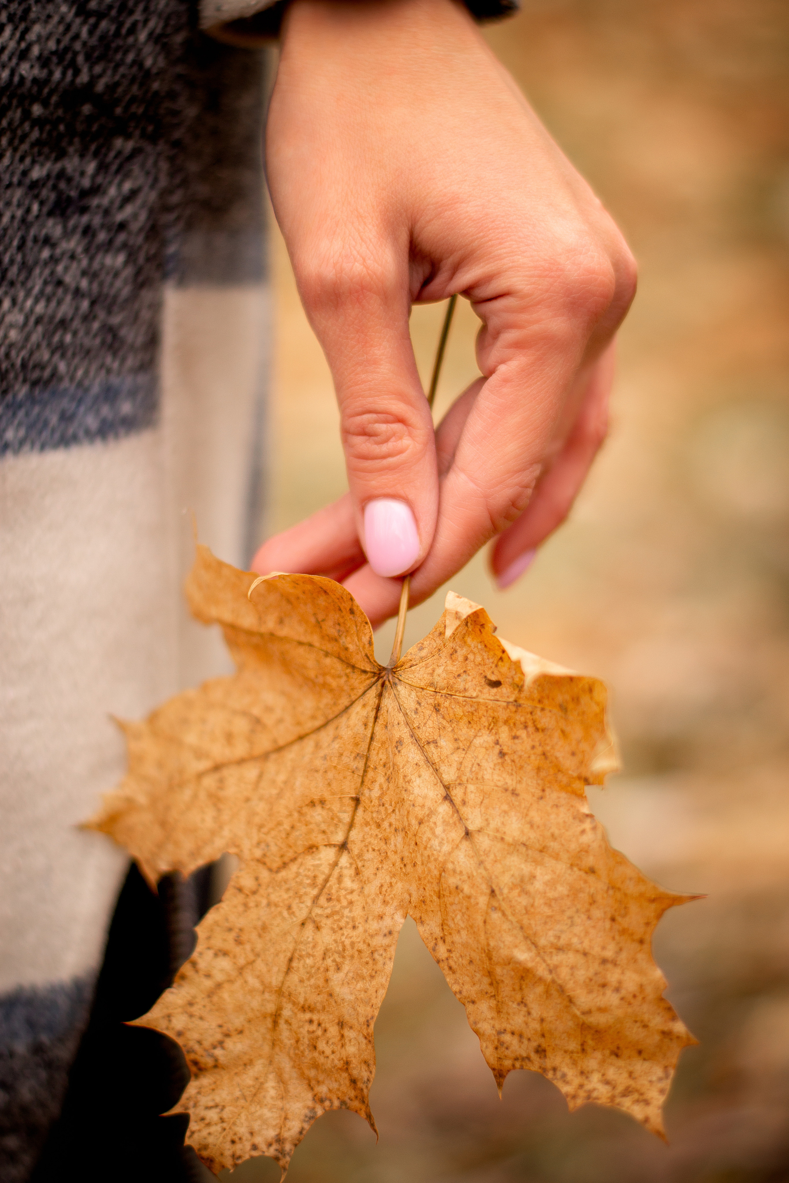 Валерия и краски осени. Приподаева Алёна семейный и детский фотограф в Красноярске