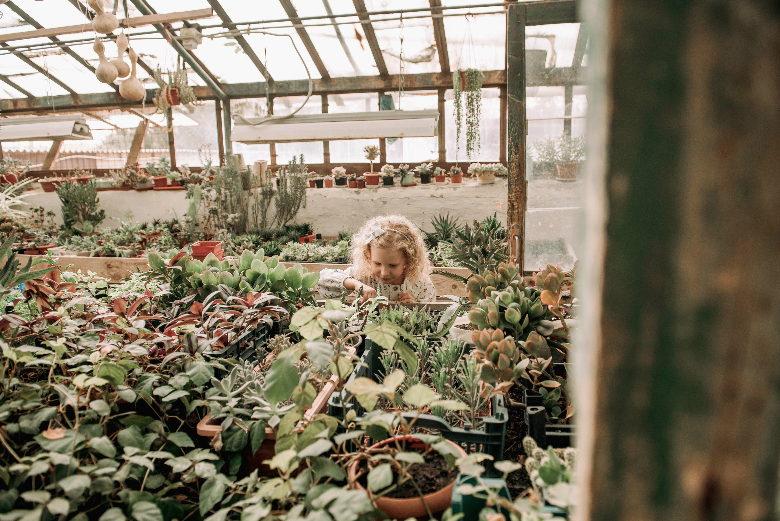 Семейная съёмка в оранжерее. Семейный фотограф в Новочеркасске Виктория Громова