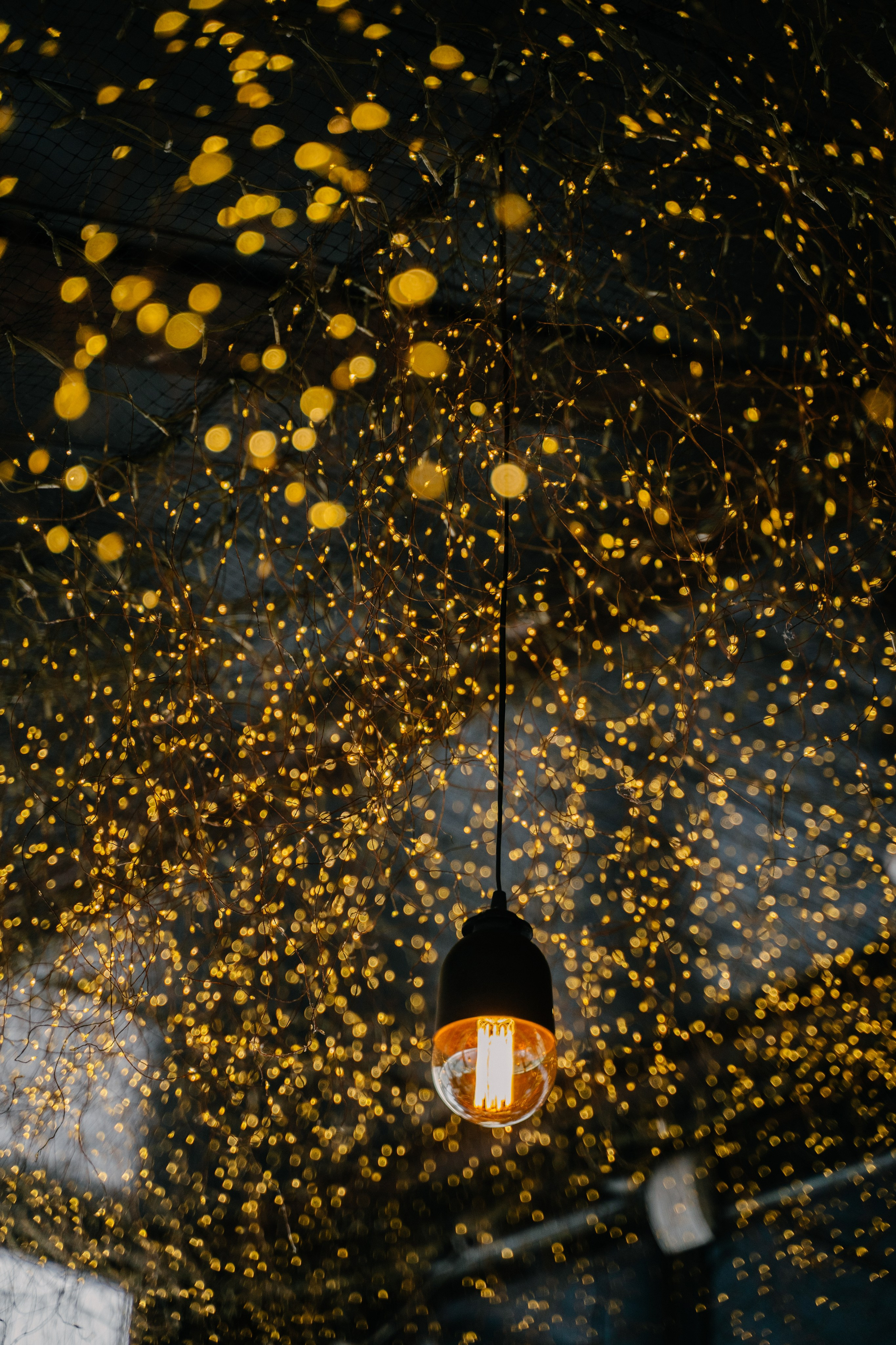 Бизнес-завтрак Кристины Дорошенко. Свадебный фотограф Юлия Копылова