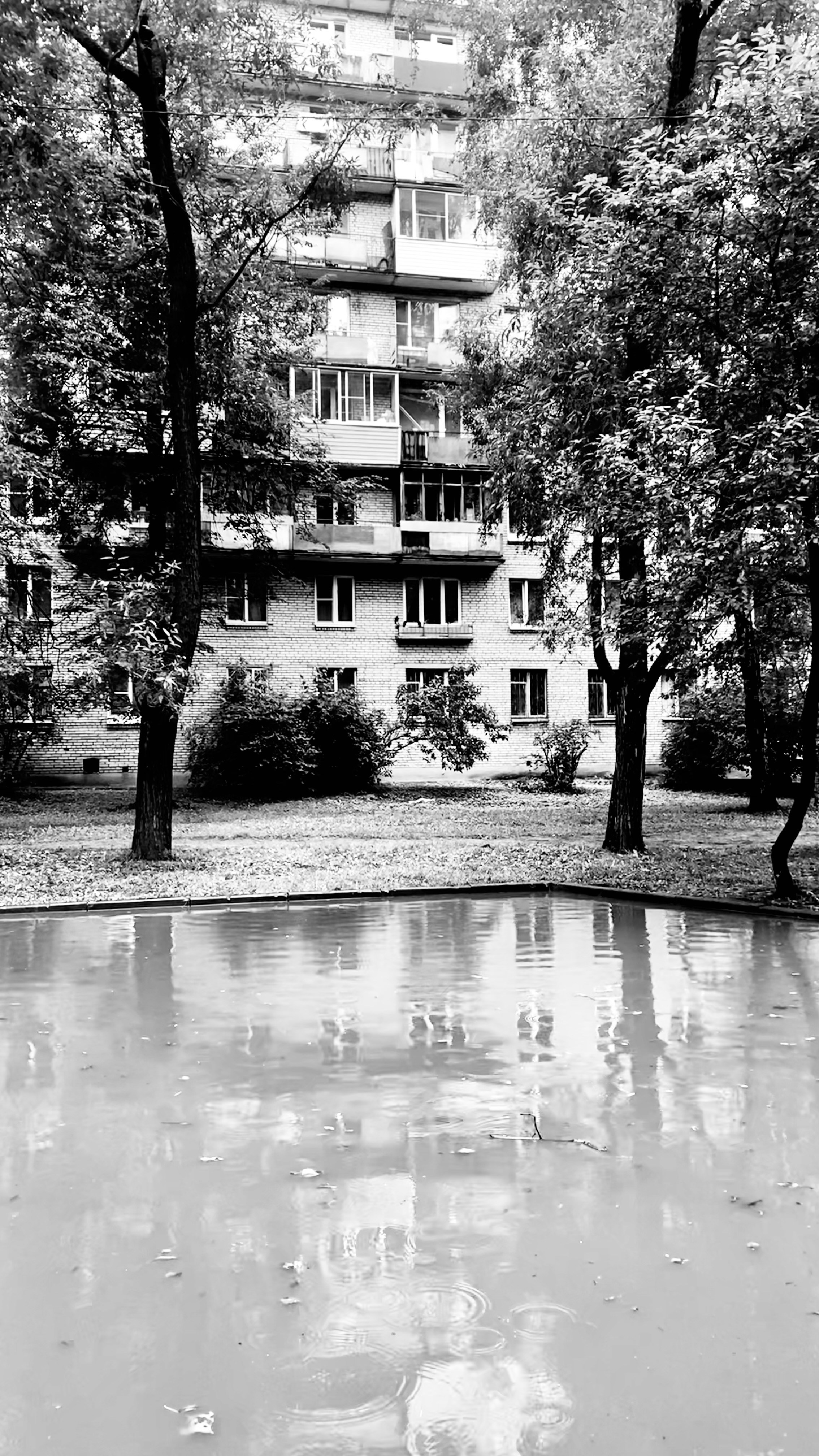 Мобильное фото. Фотограф в Москве Айгуль Евграфова