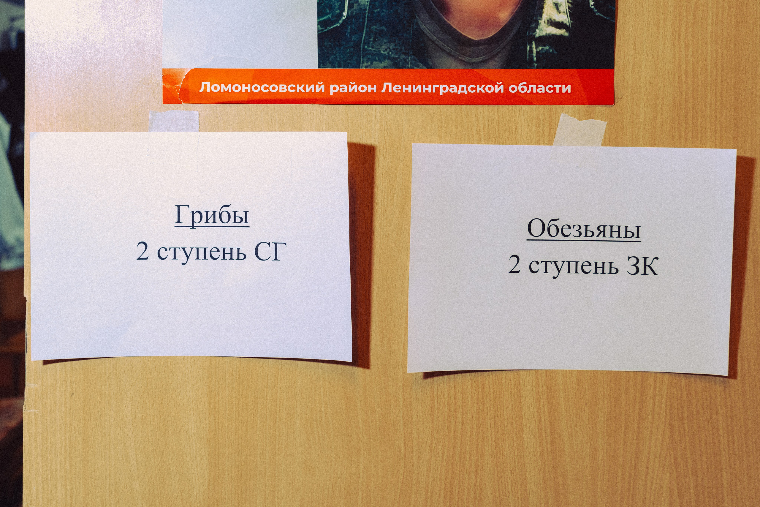 Хореографическая студия «СТУПЕНИ» / Отчетный концерт 25.04.26. Репортажный фотограф в Санкт-Петербурге Никита Лу