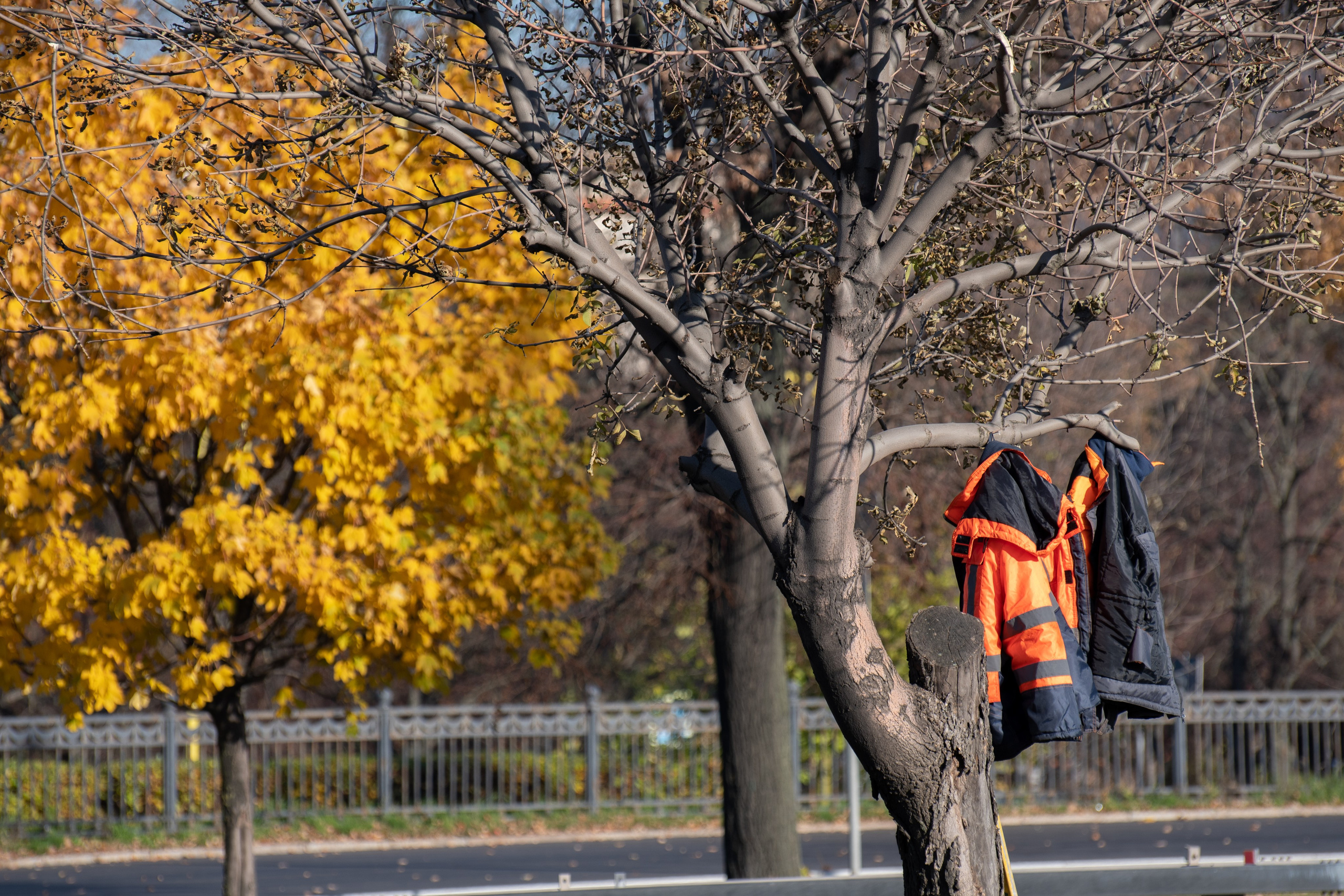 20211010 МГУ. Дмитрий Ремизов. Фотография, как хобби