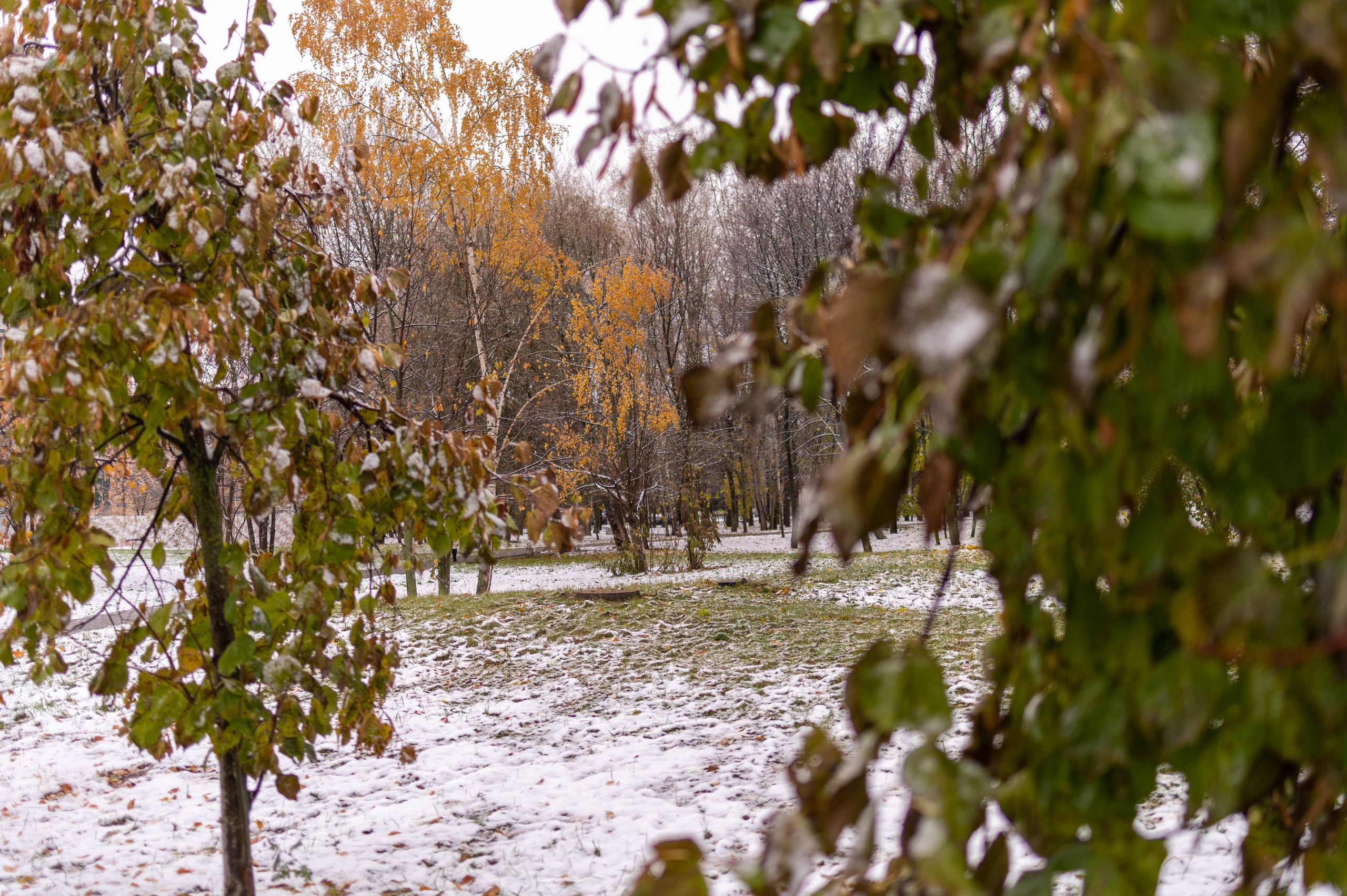 20231030 Тест Tamron SP 35 mm F/1.8. Дмитрий Ремизов. Фотография, как хобби