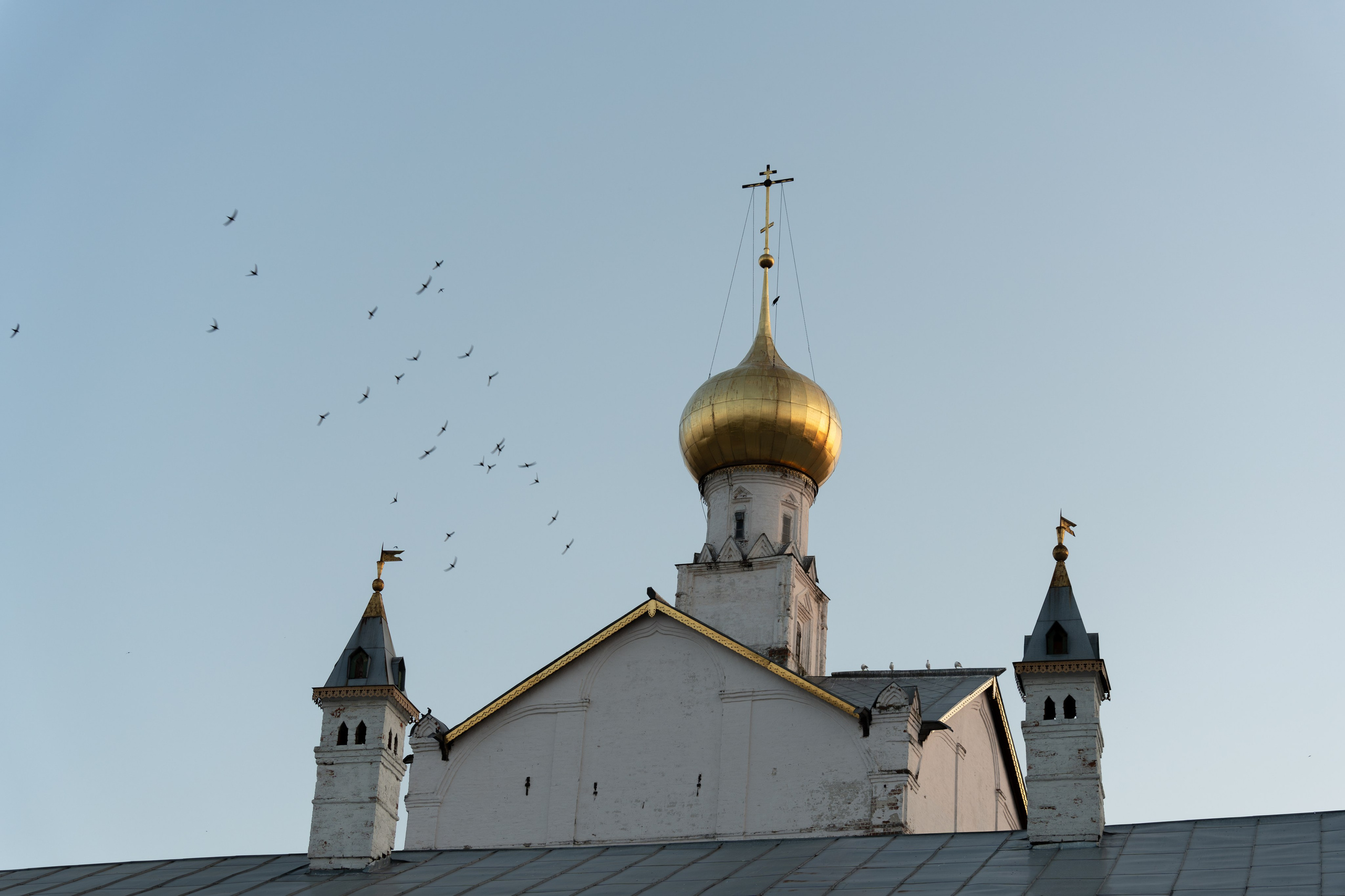 20250729-30 Ростов. Дмитрий Ремизов. Фотография, как хобби