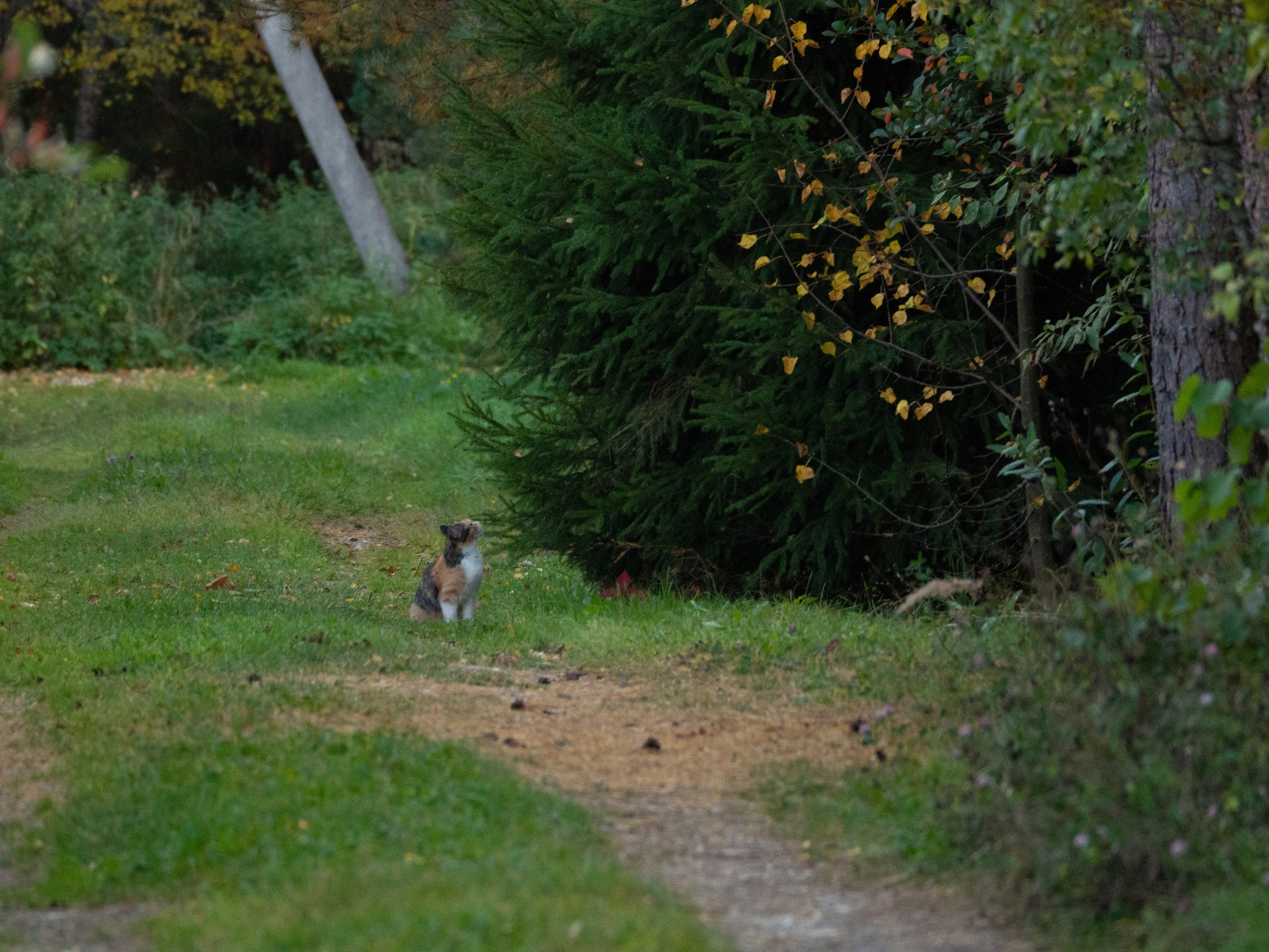 20230923-25 Родники. Дмитрий Ремизов. Фотография, как хобби