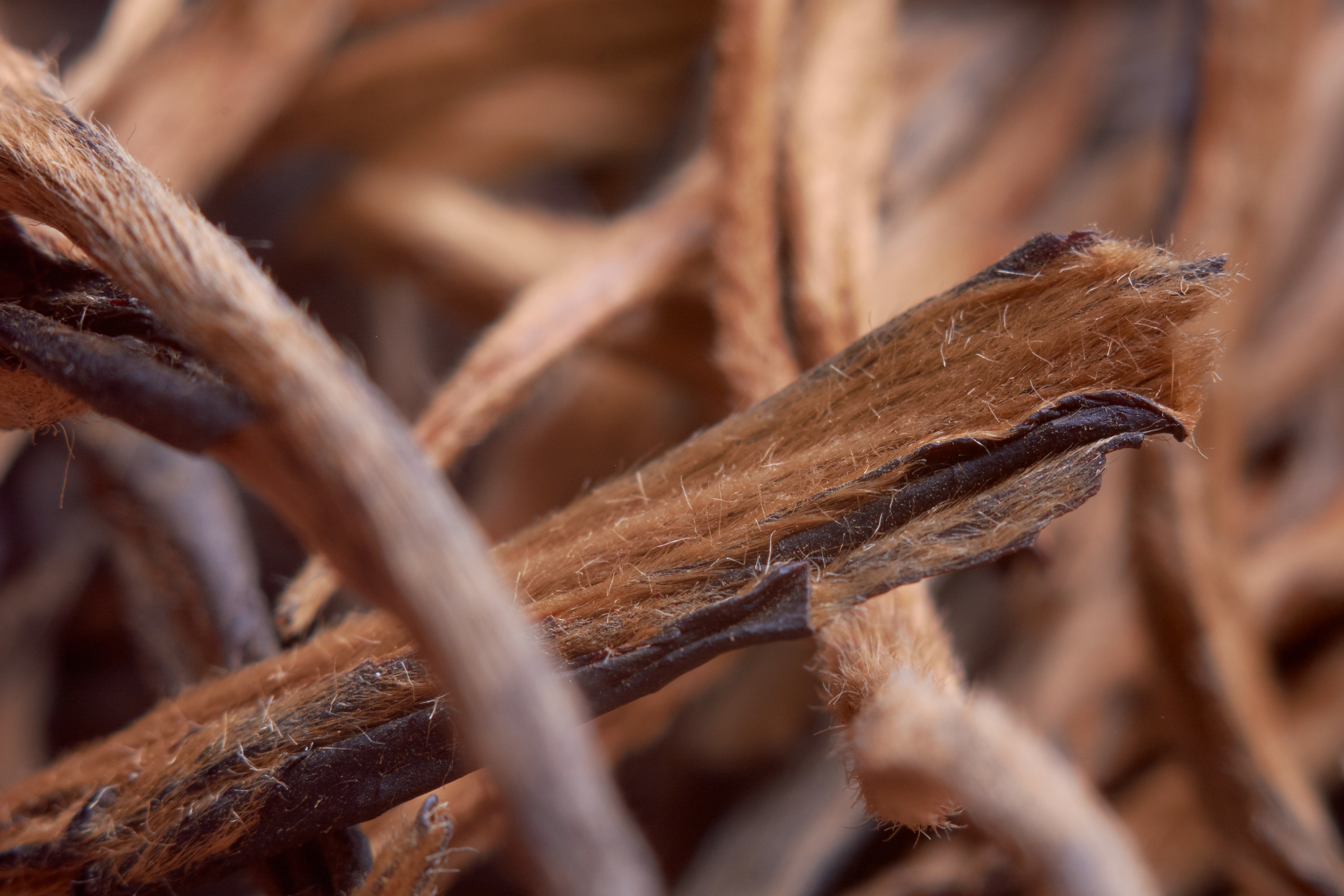 Чай. Фото для маркетплейсов. Константин Кордонский | Интерьерный и food-фотограф в Кисловодске и КМВ