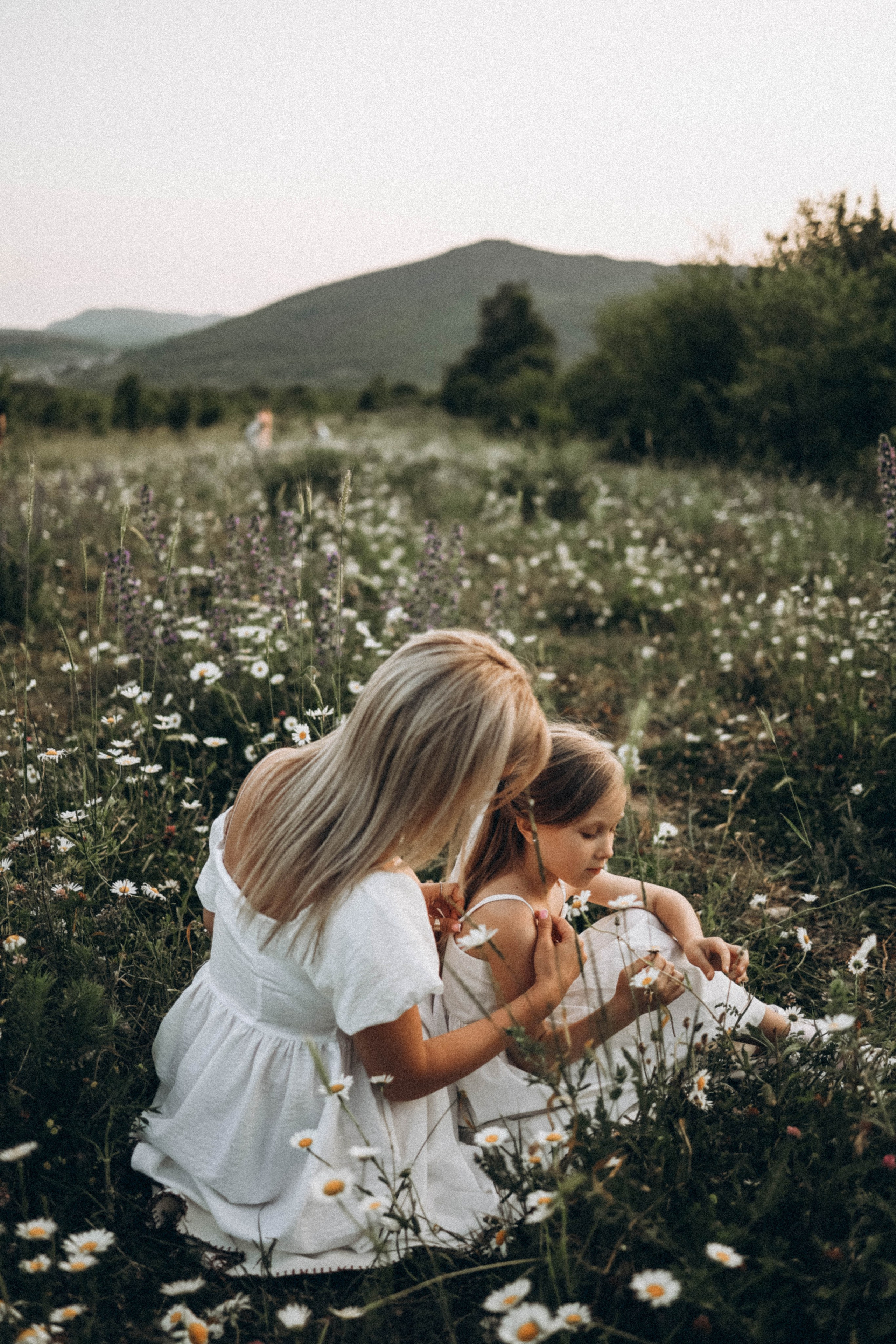 Ромашки. Фотограф Немазенко Ольга