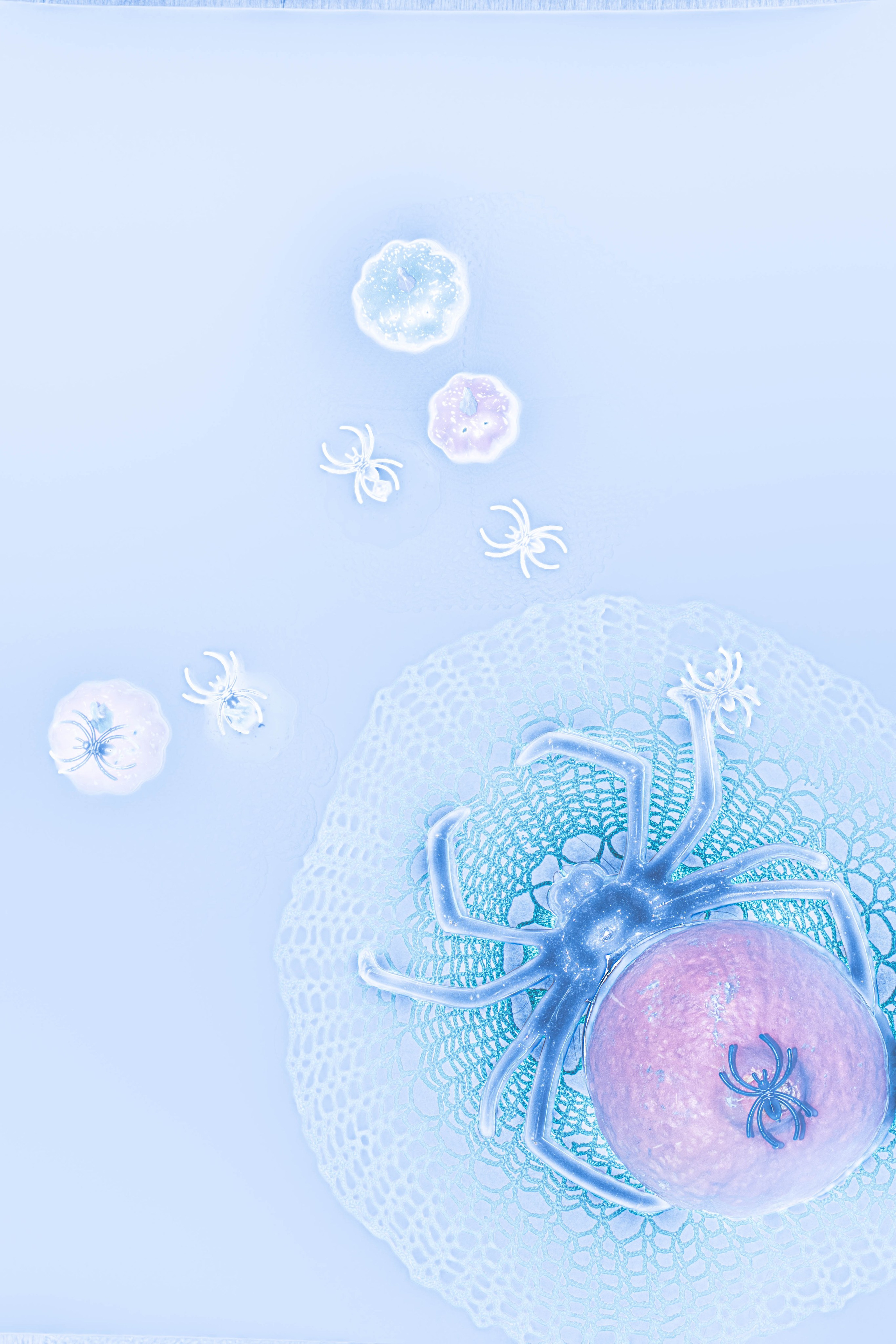 ПРИНТЫ. Виктория Князева| фотограф из Санкт-Петербурга