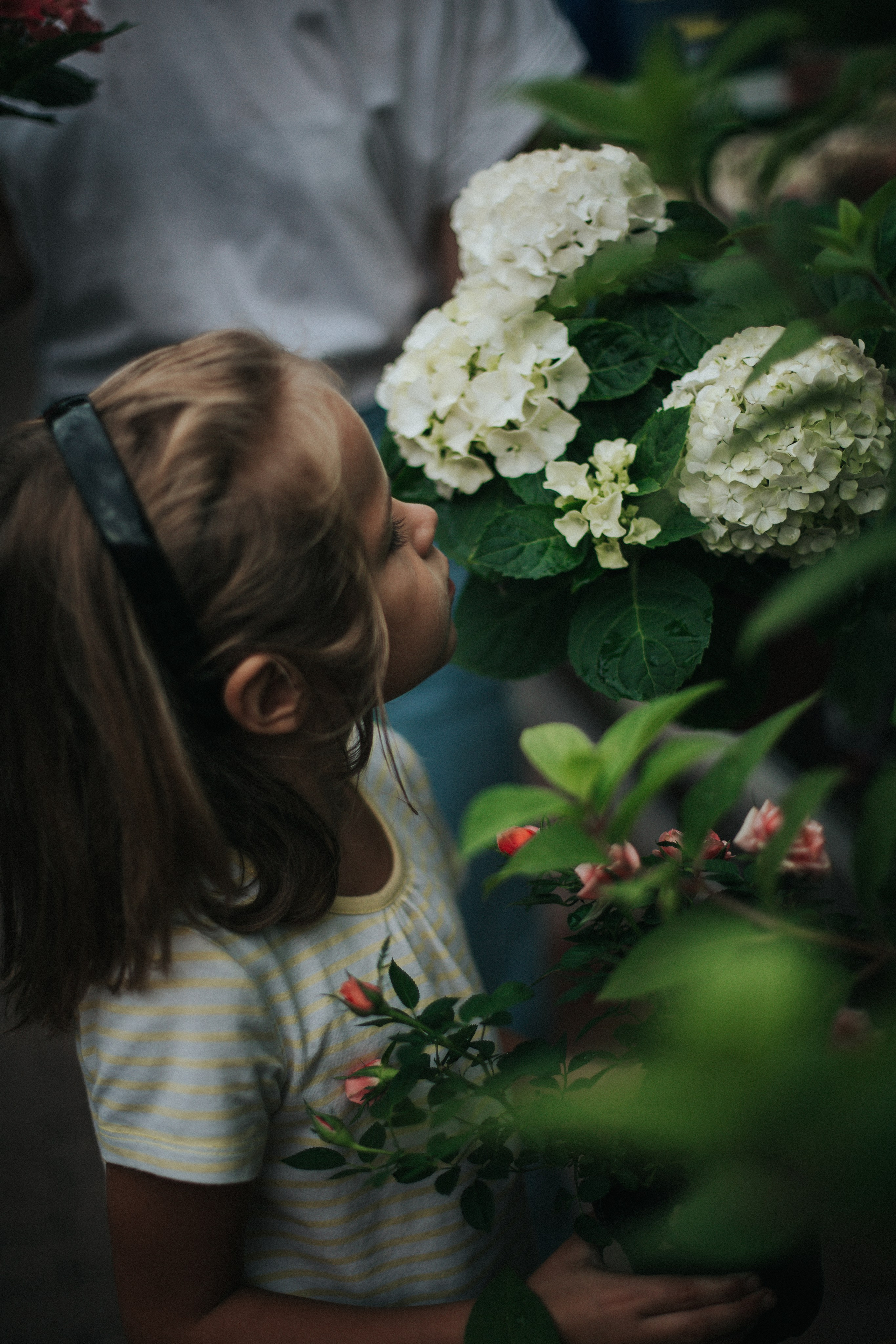 Лена Лисина. Дом + ОБИ. Фотограф в Нижнем Новгороде