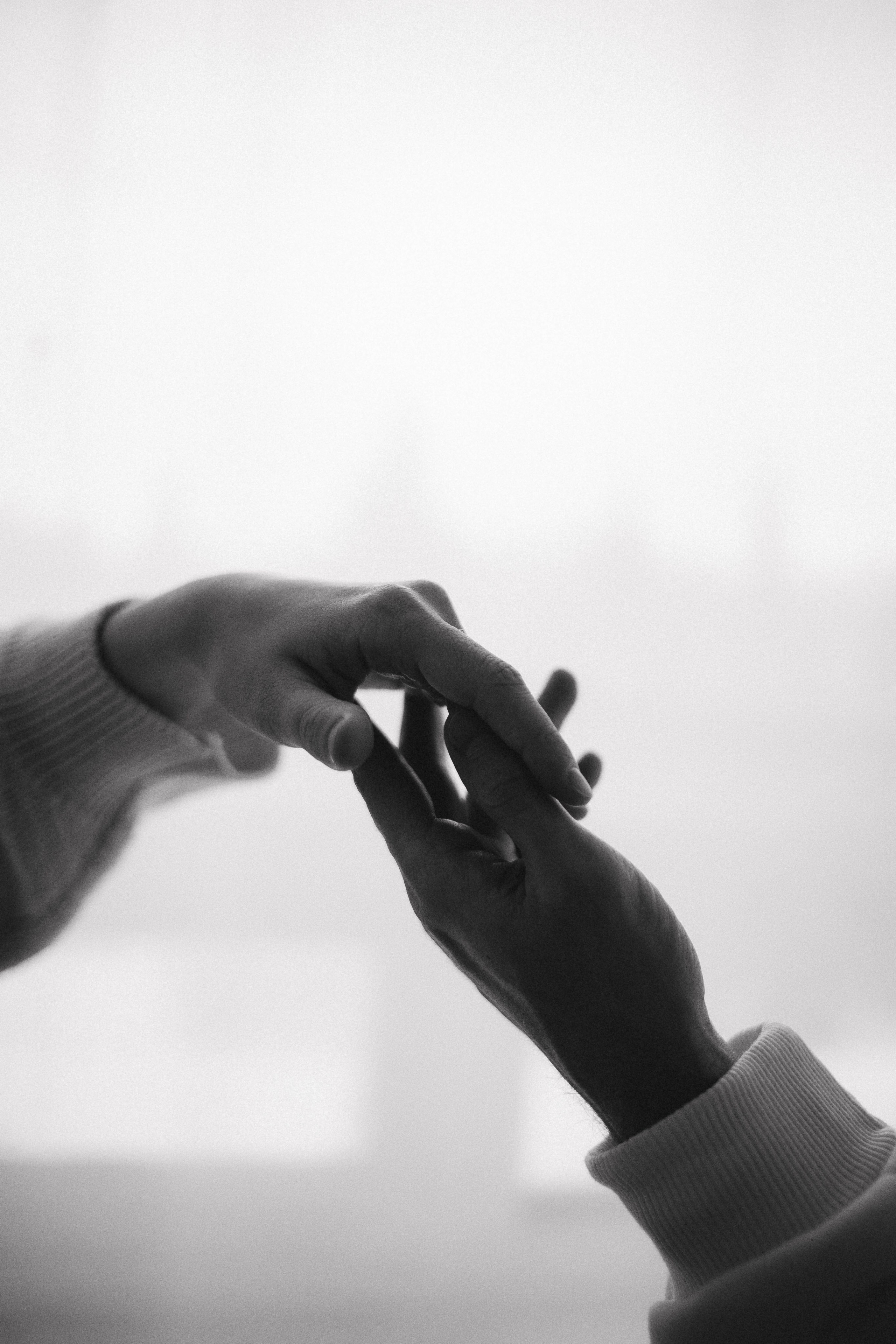 Аня, Сережа и Лешенька. Главная