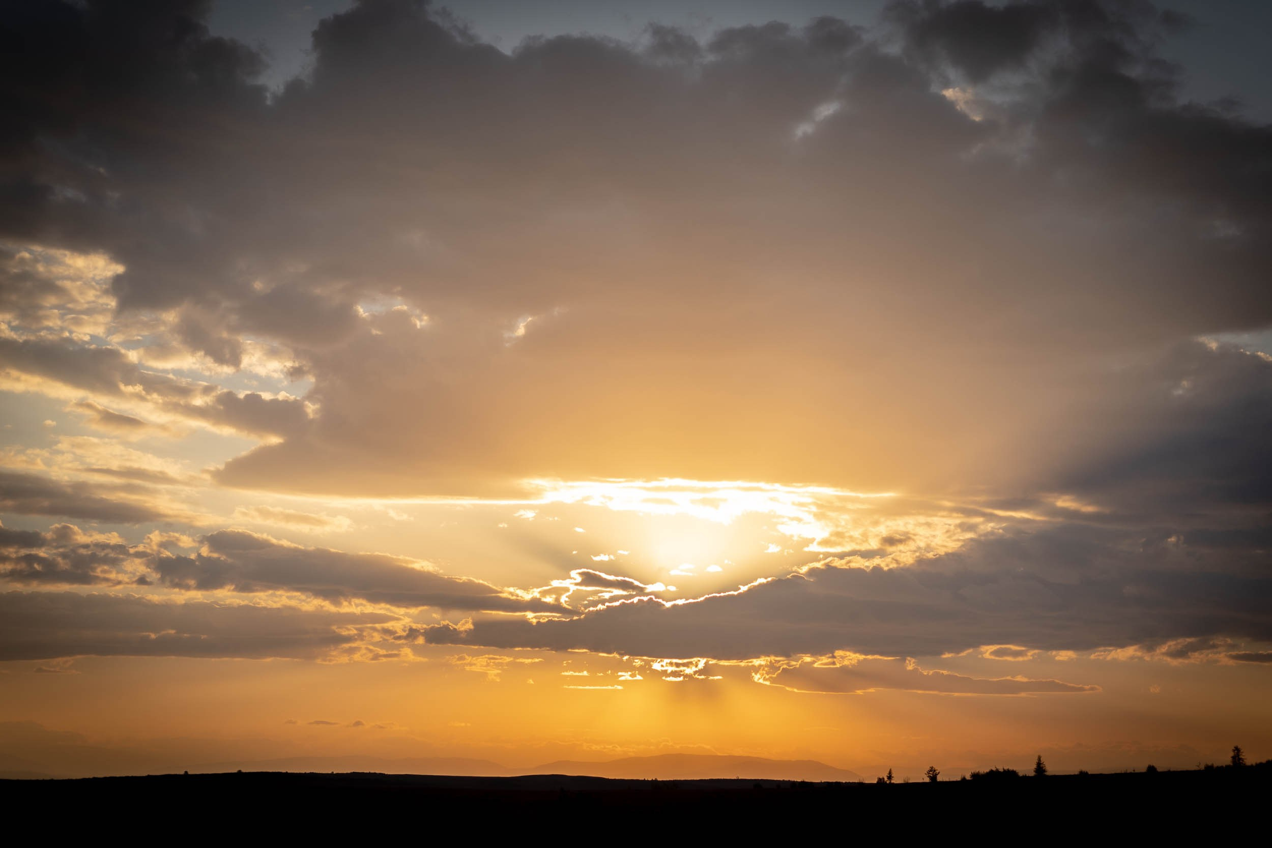 Рифы девонского моря. Фотограф Екатерина Зорина