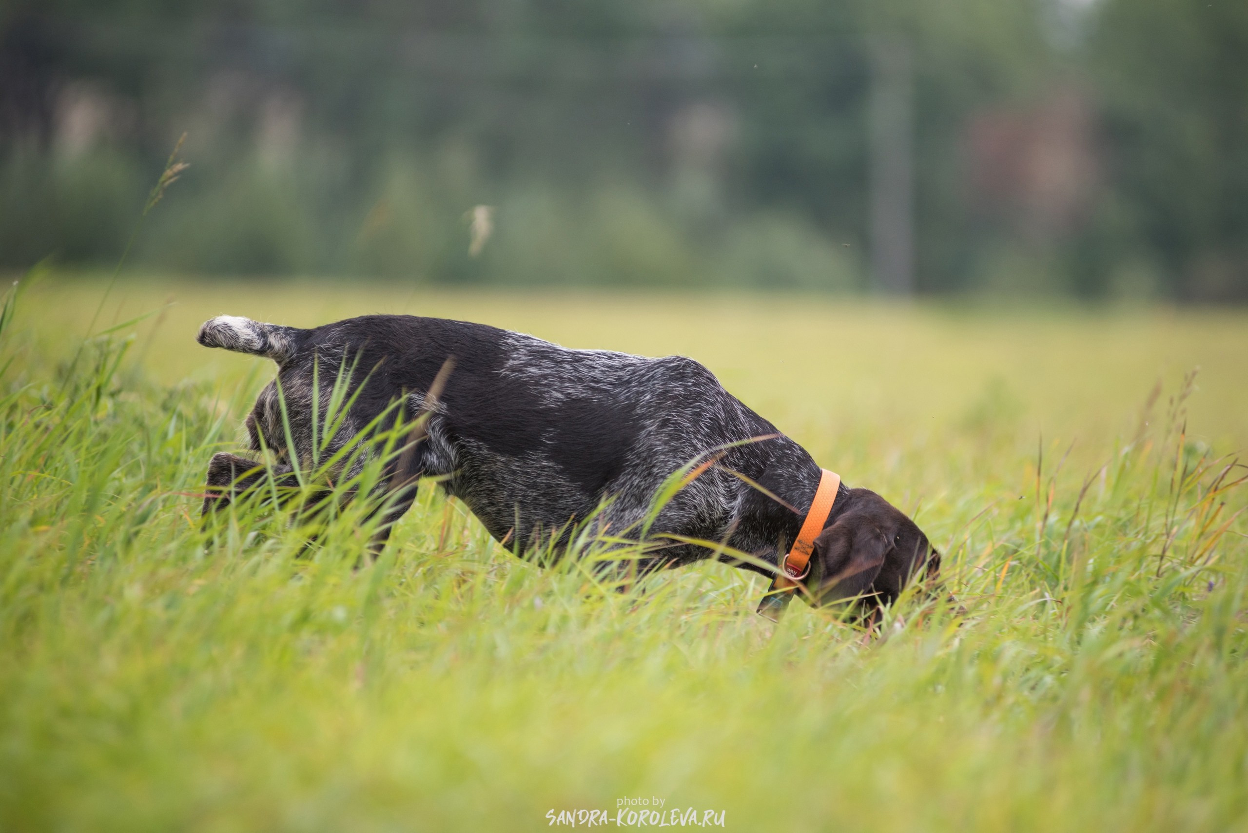 Фотографии. Главная