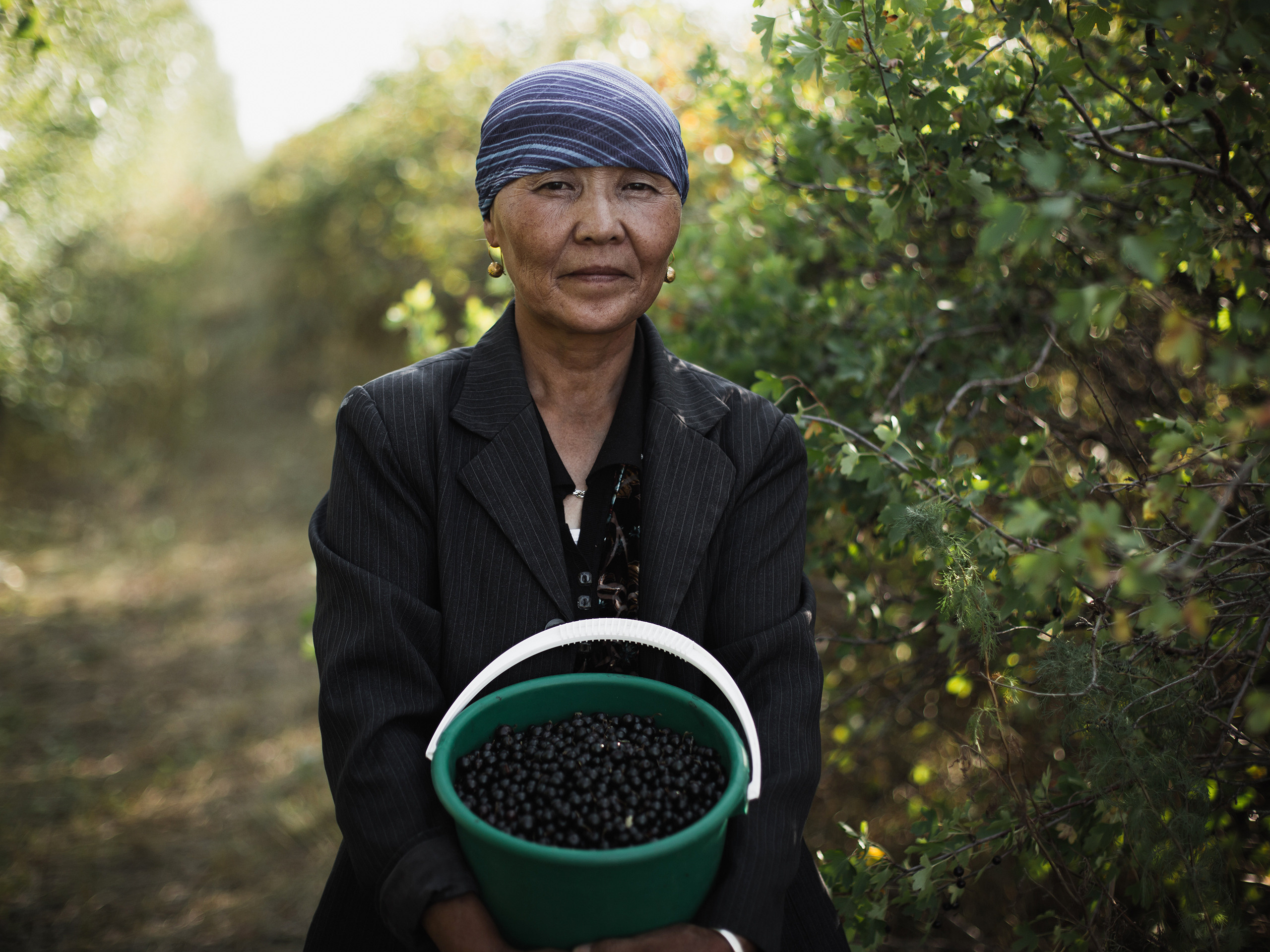 Berries. Адиль Абильтаев|Фотограф|Астана