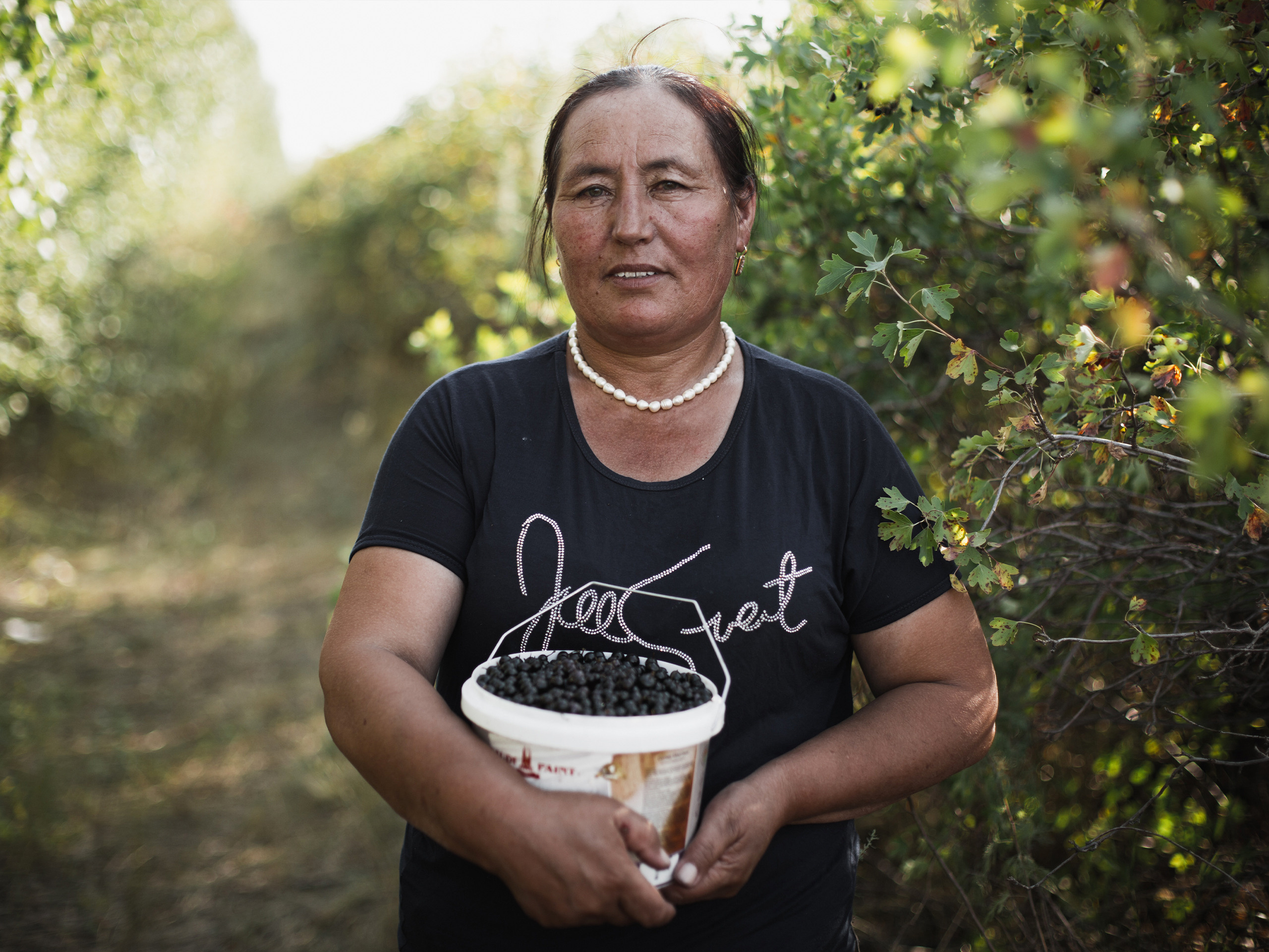 Berries. Адиль Абильтаев|Фотограф|Астана