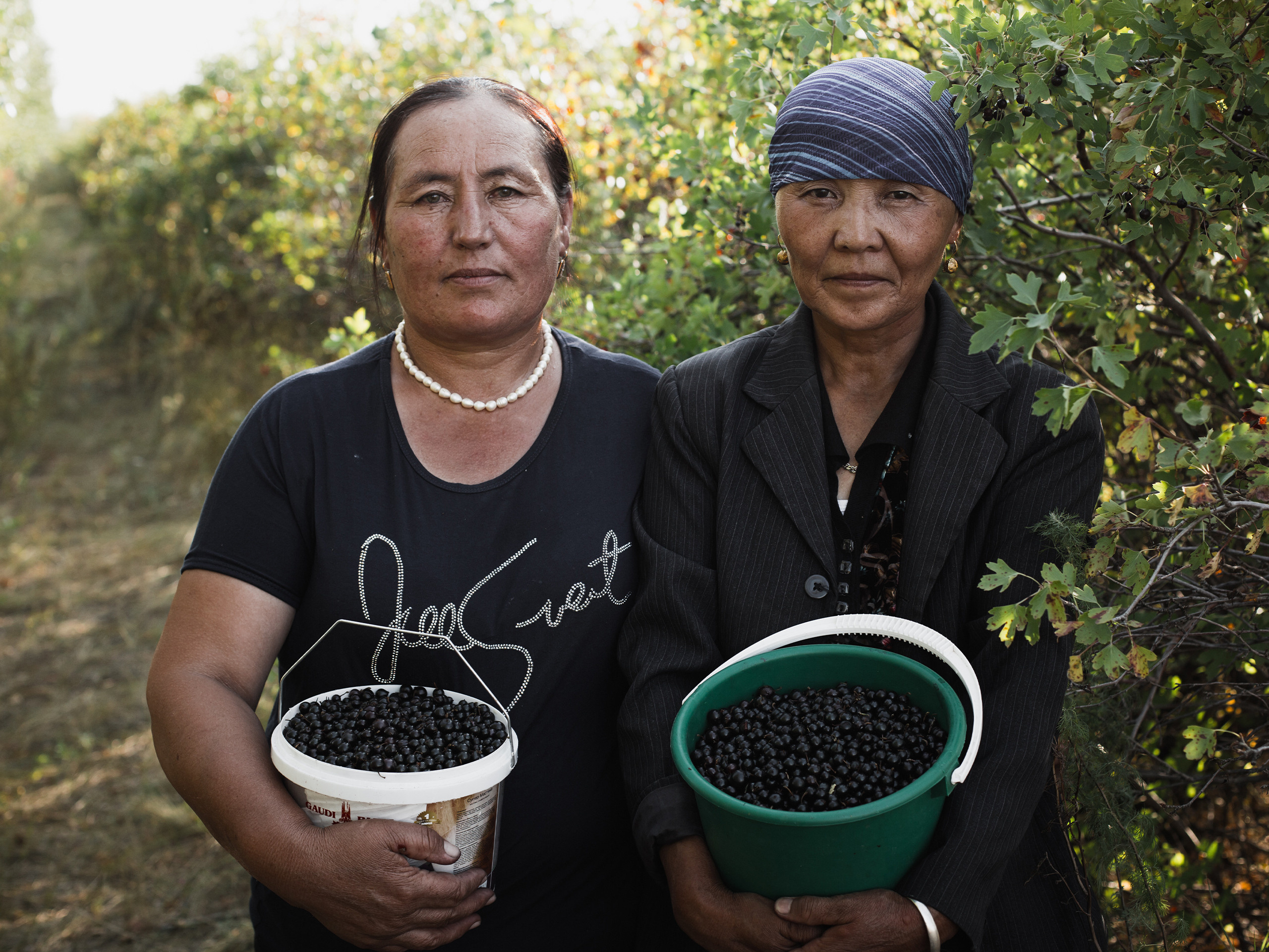 Berries. Адиль Абильтаев|Фотограф|Астана