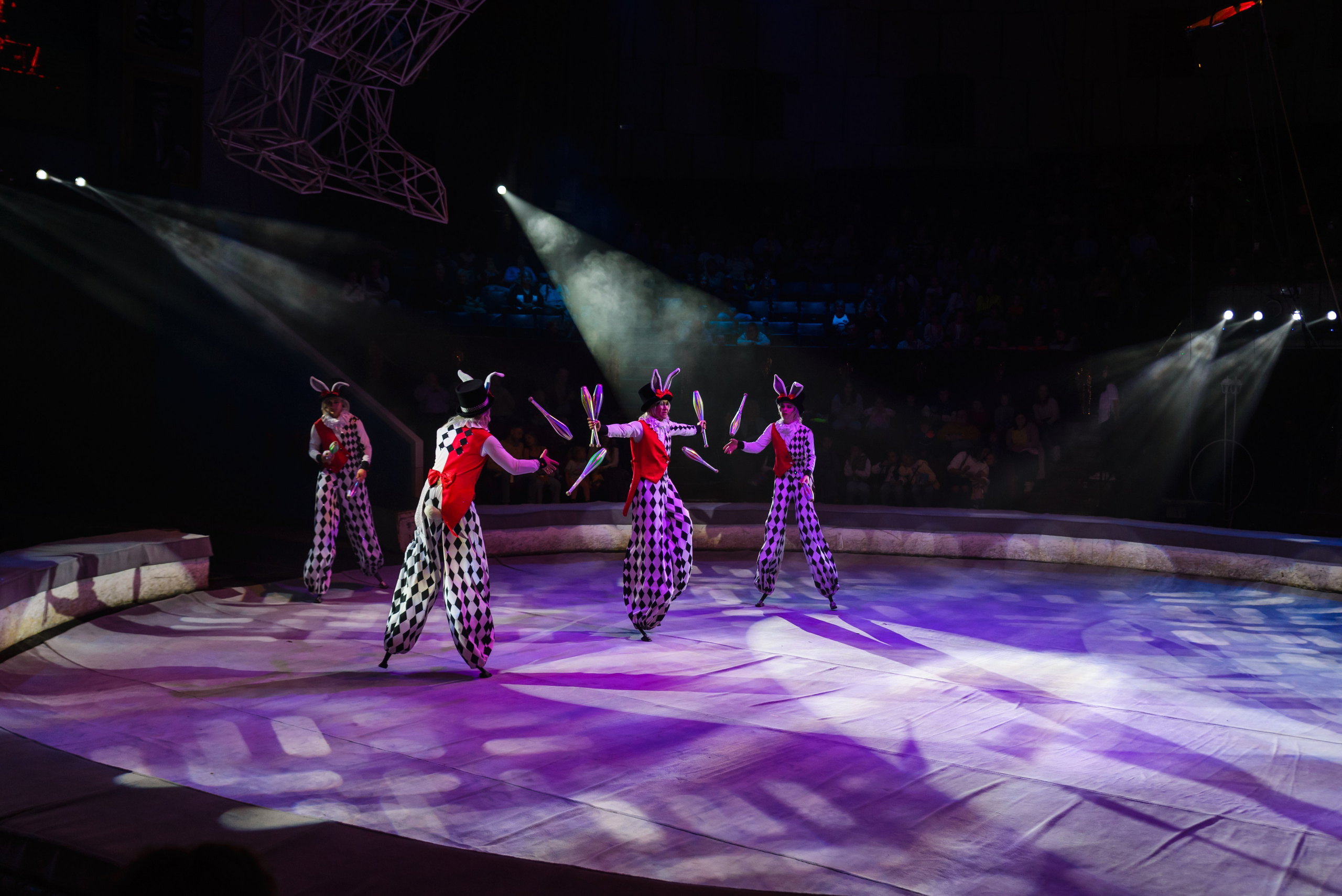 Пермский государственный цирк. Фотограф в Ханты-Мансийске Евгений Жуланов